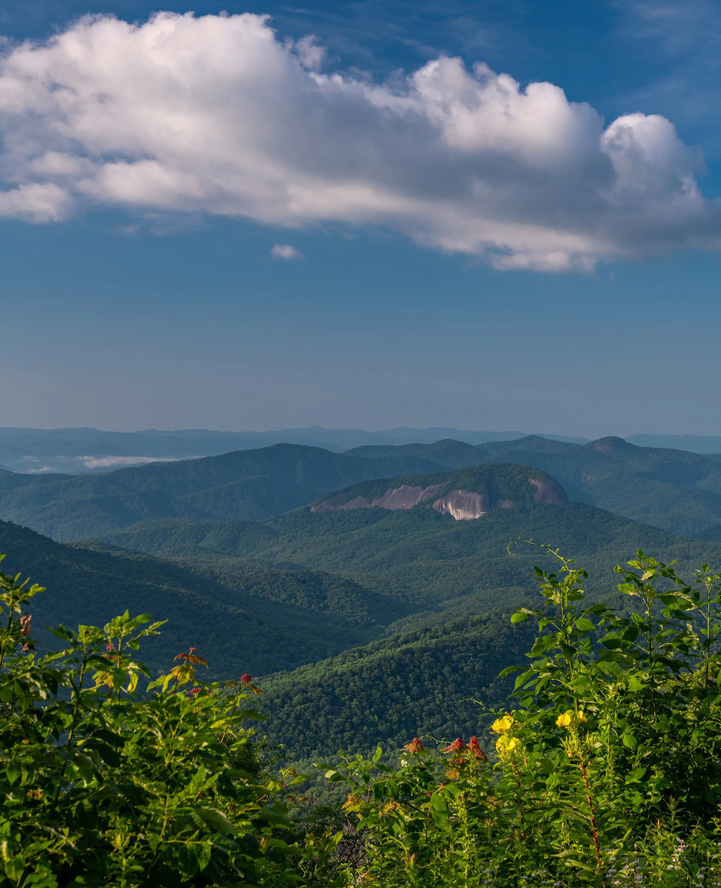 Blue Ridge 4