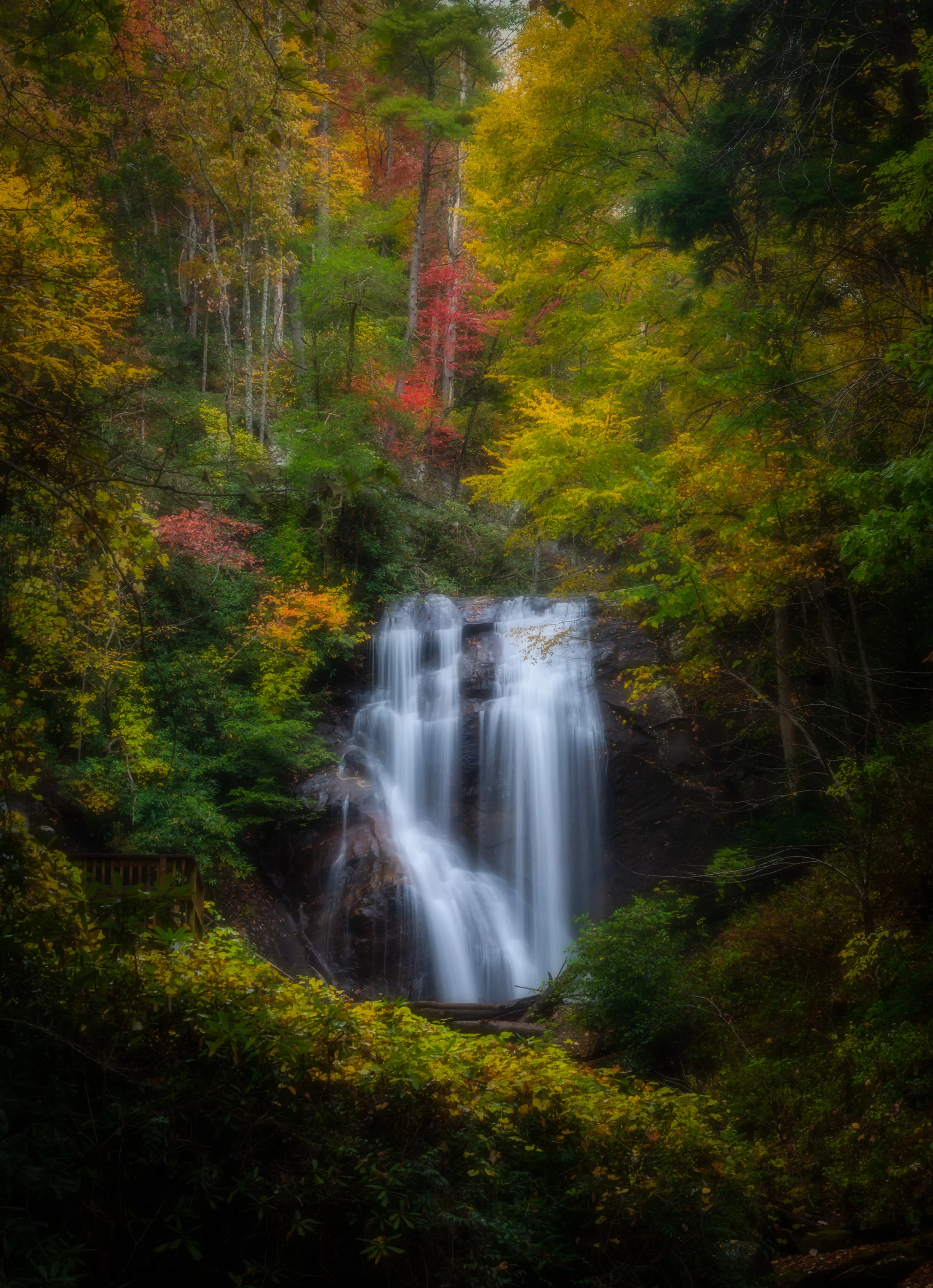 Anna-Ruby-Falls-3.jpg