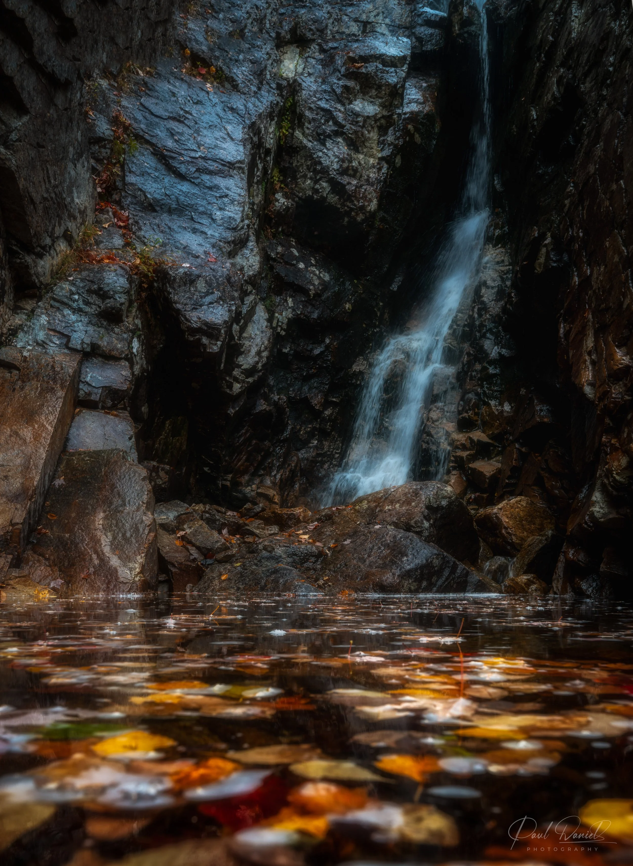 NEW ENGLAND 8