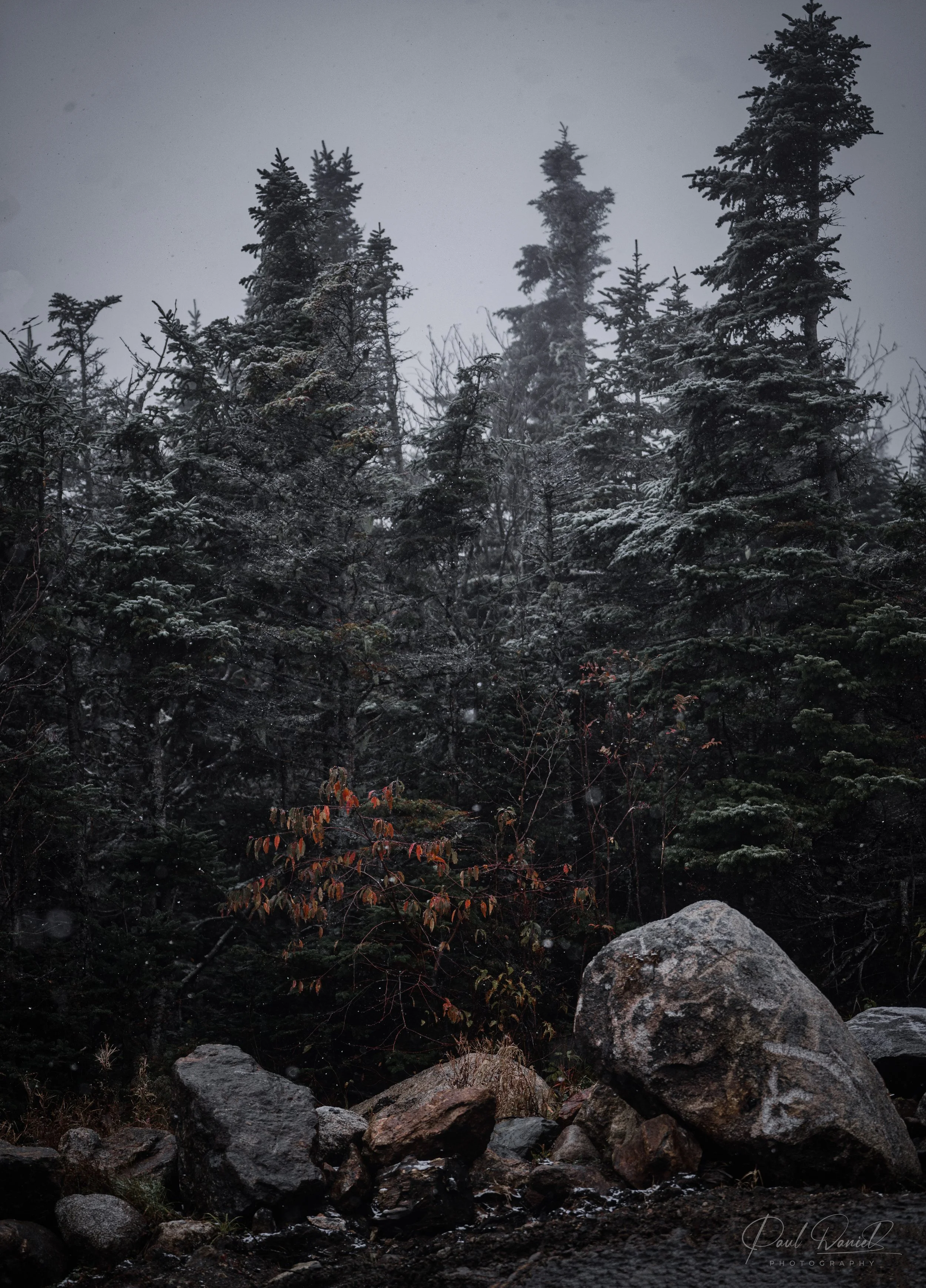 NEW ENGLAND 5