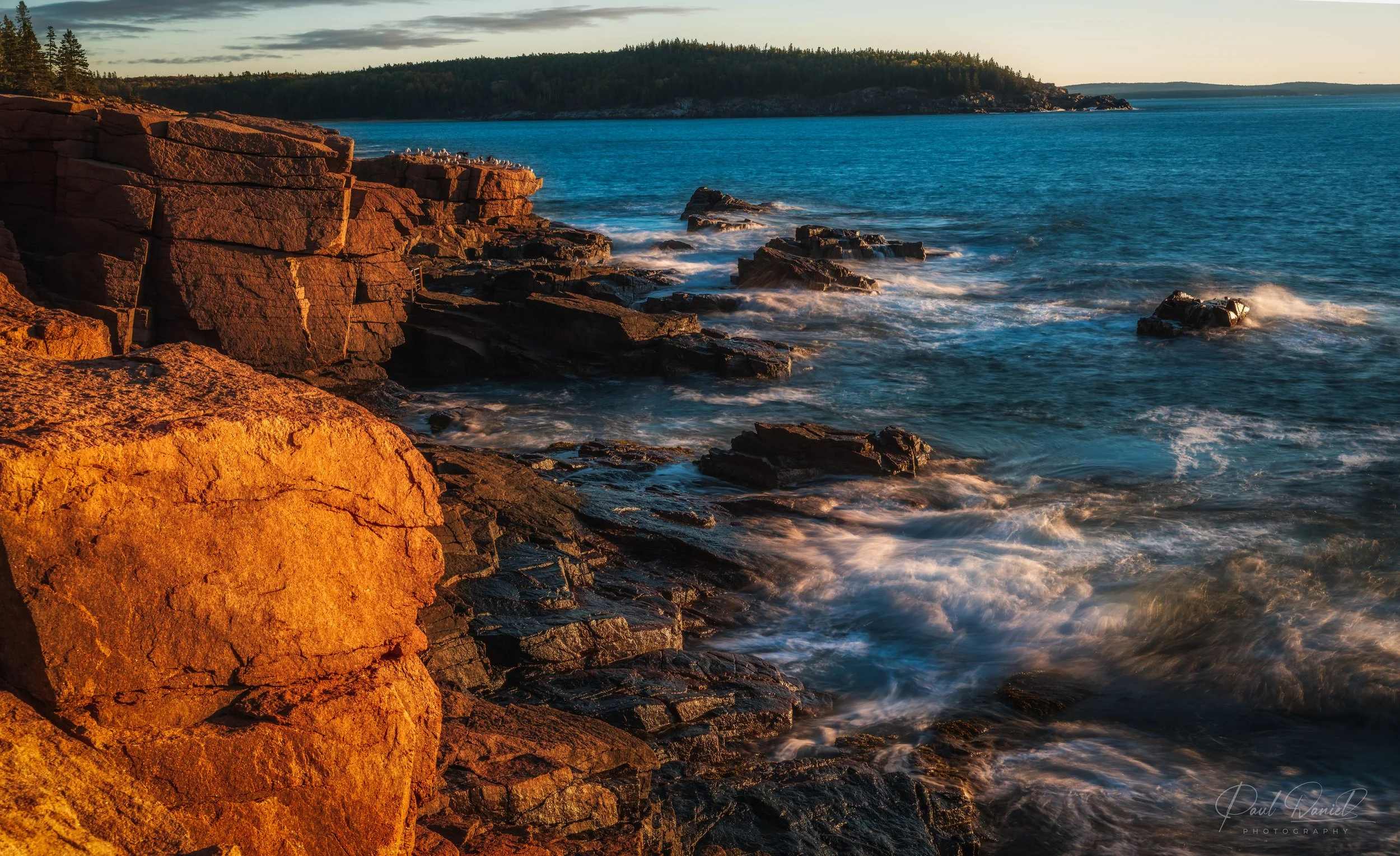 NEW ENGLAND21