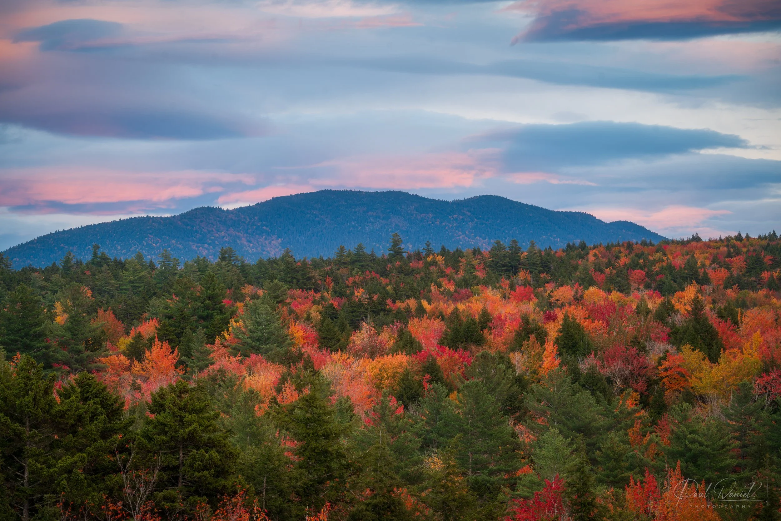 NEW ENGLAND 24