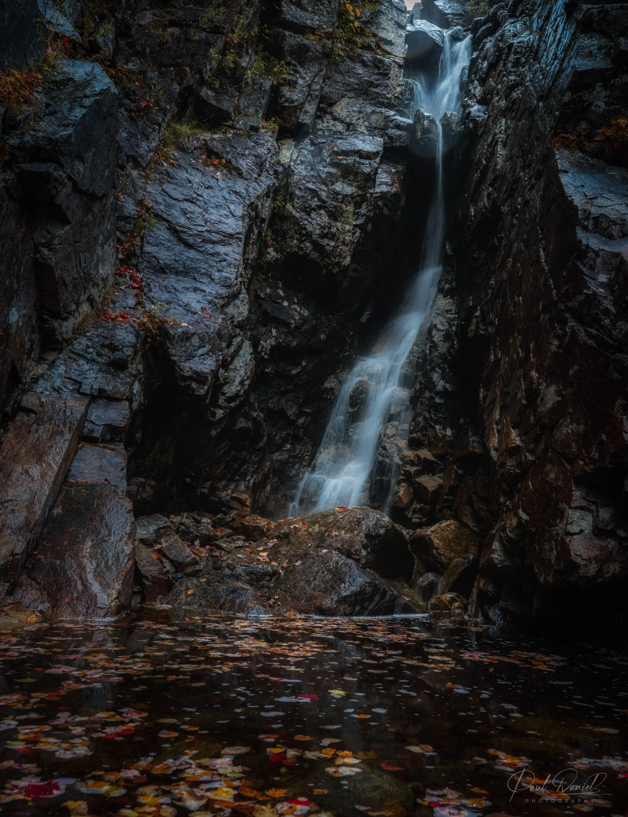 NEW ENGLAND 7