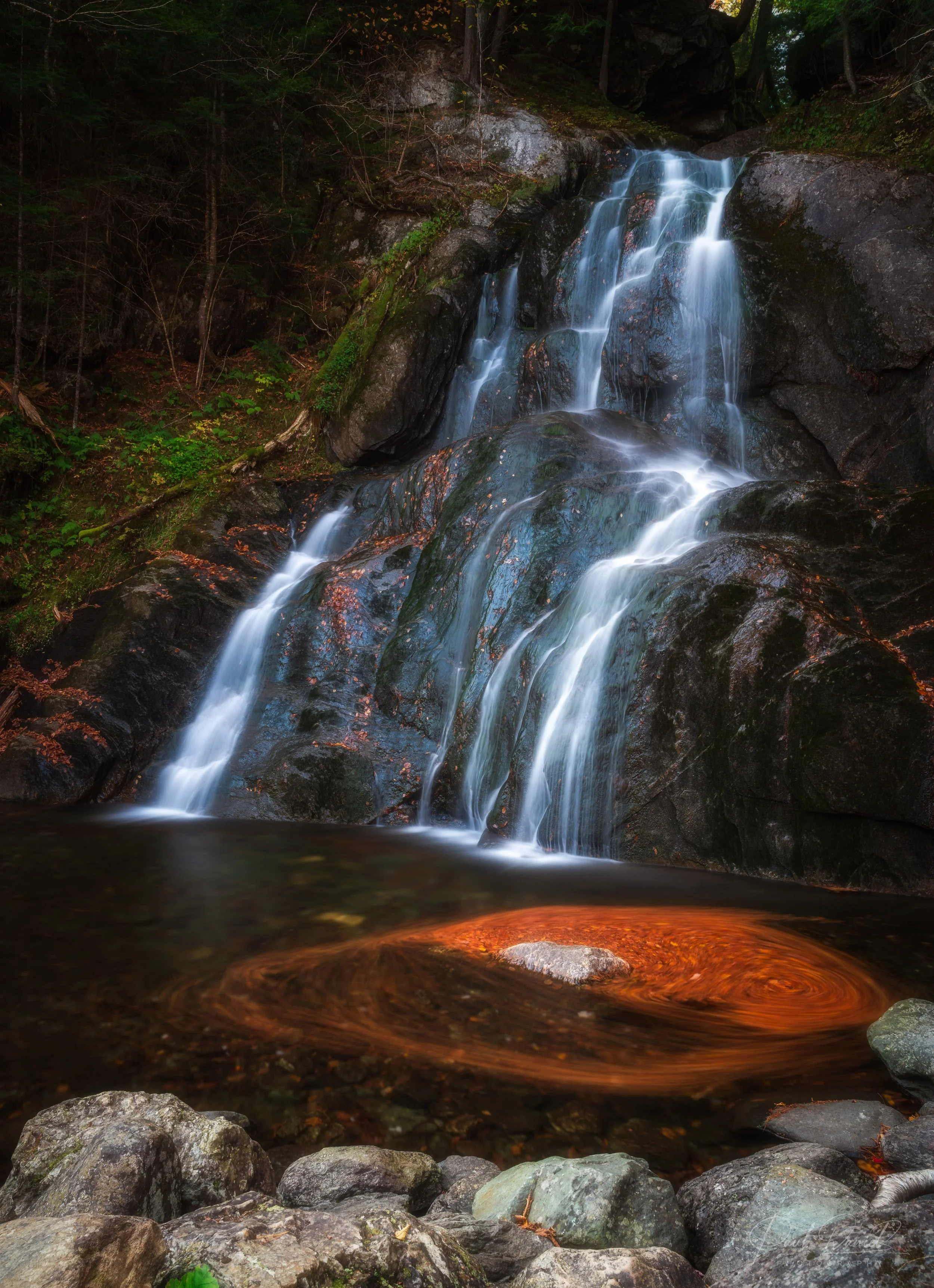 NEW ENGLAND 42