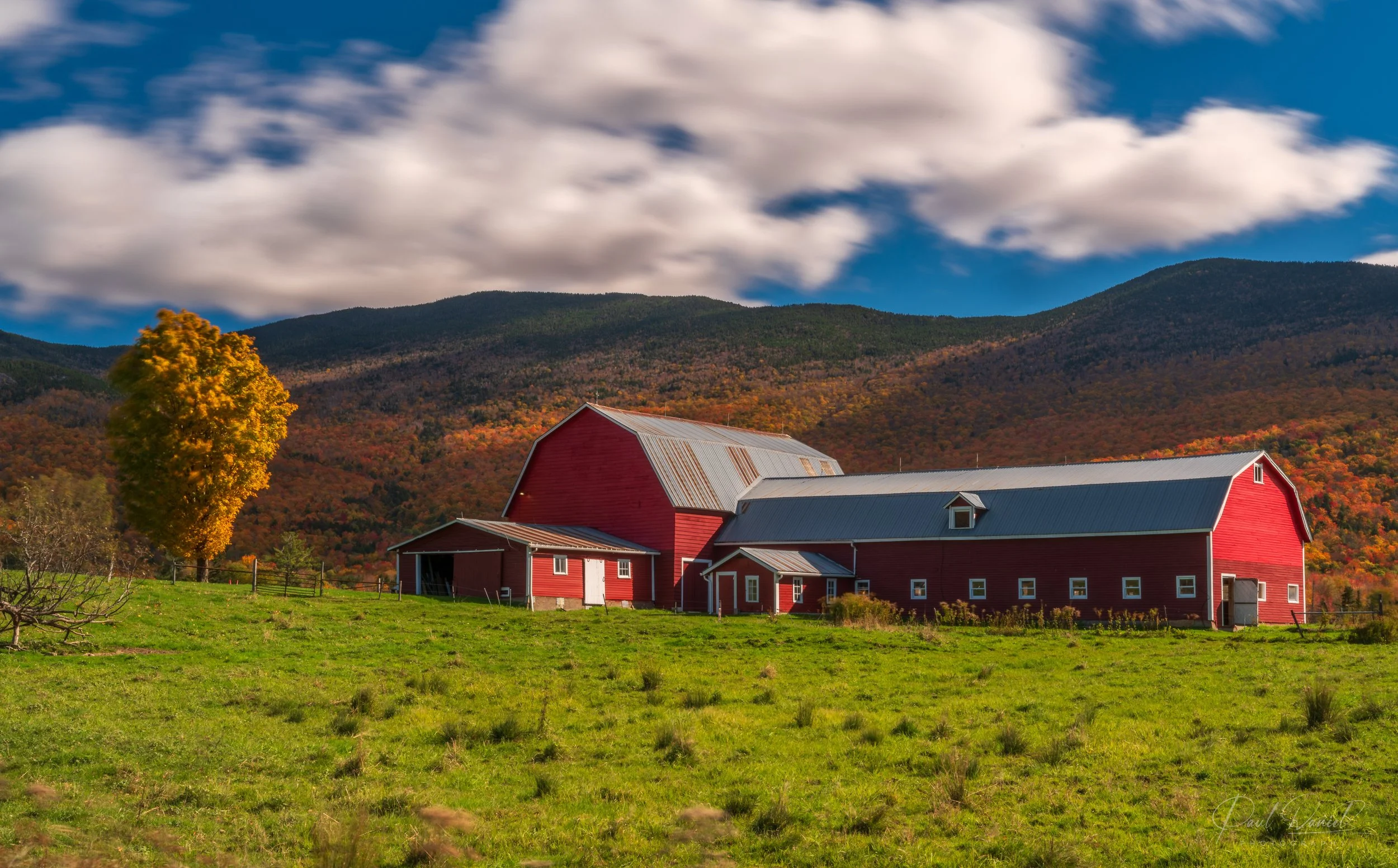 NEW ENGLAND 16