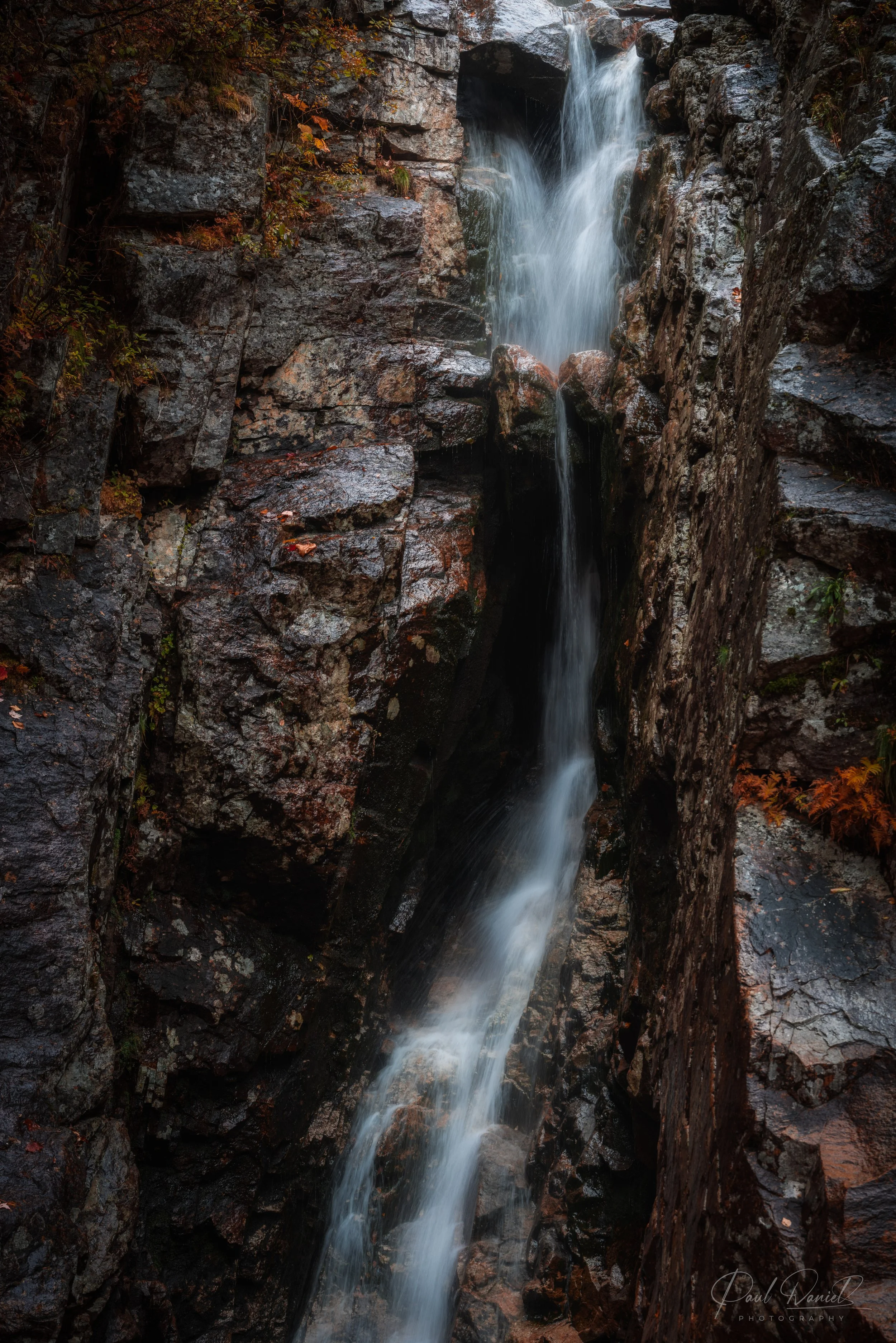 NEW ENGLAND 6