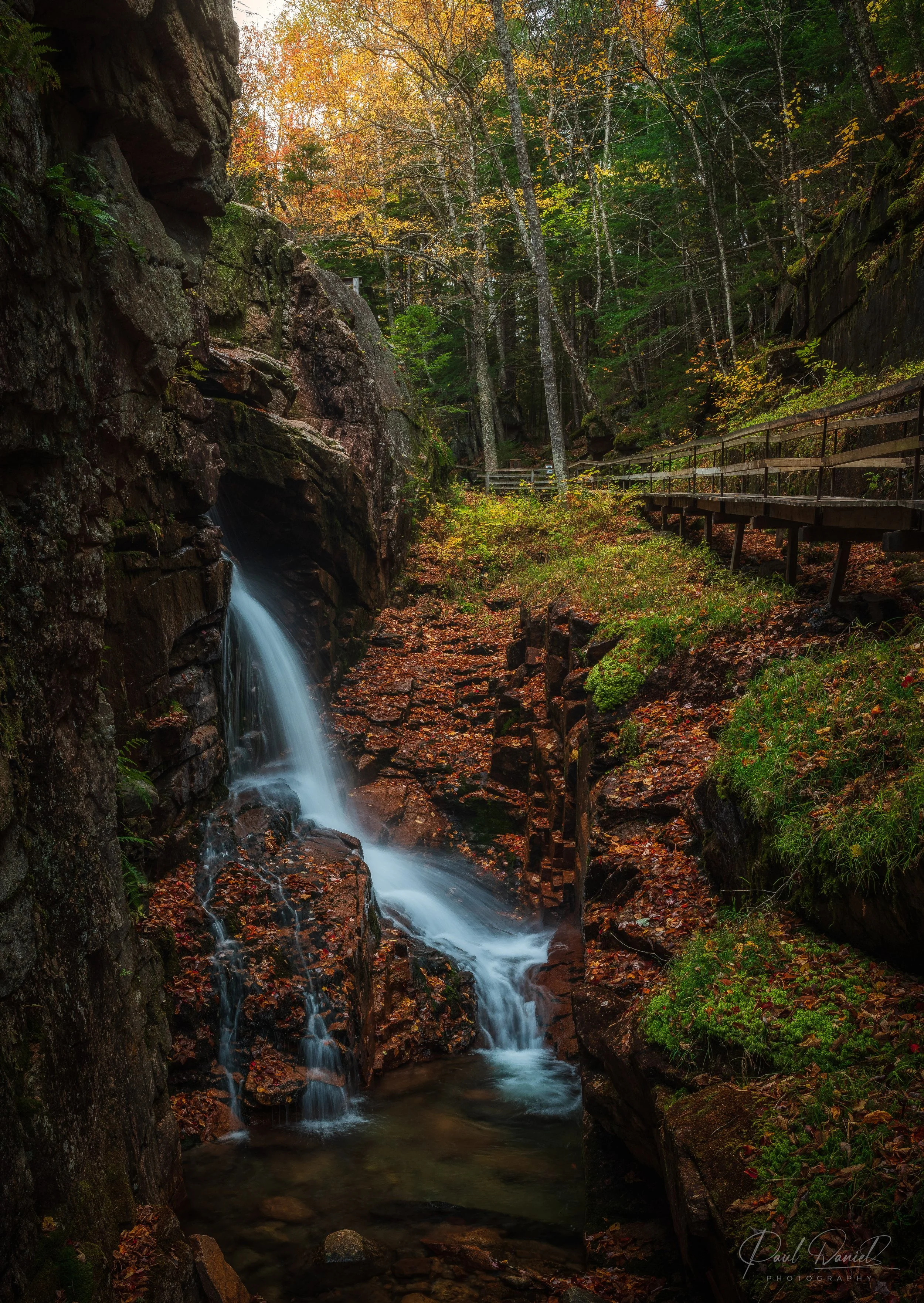 NEW ENGLAND13