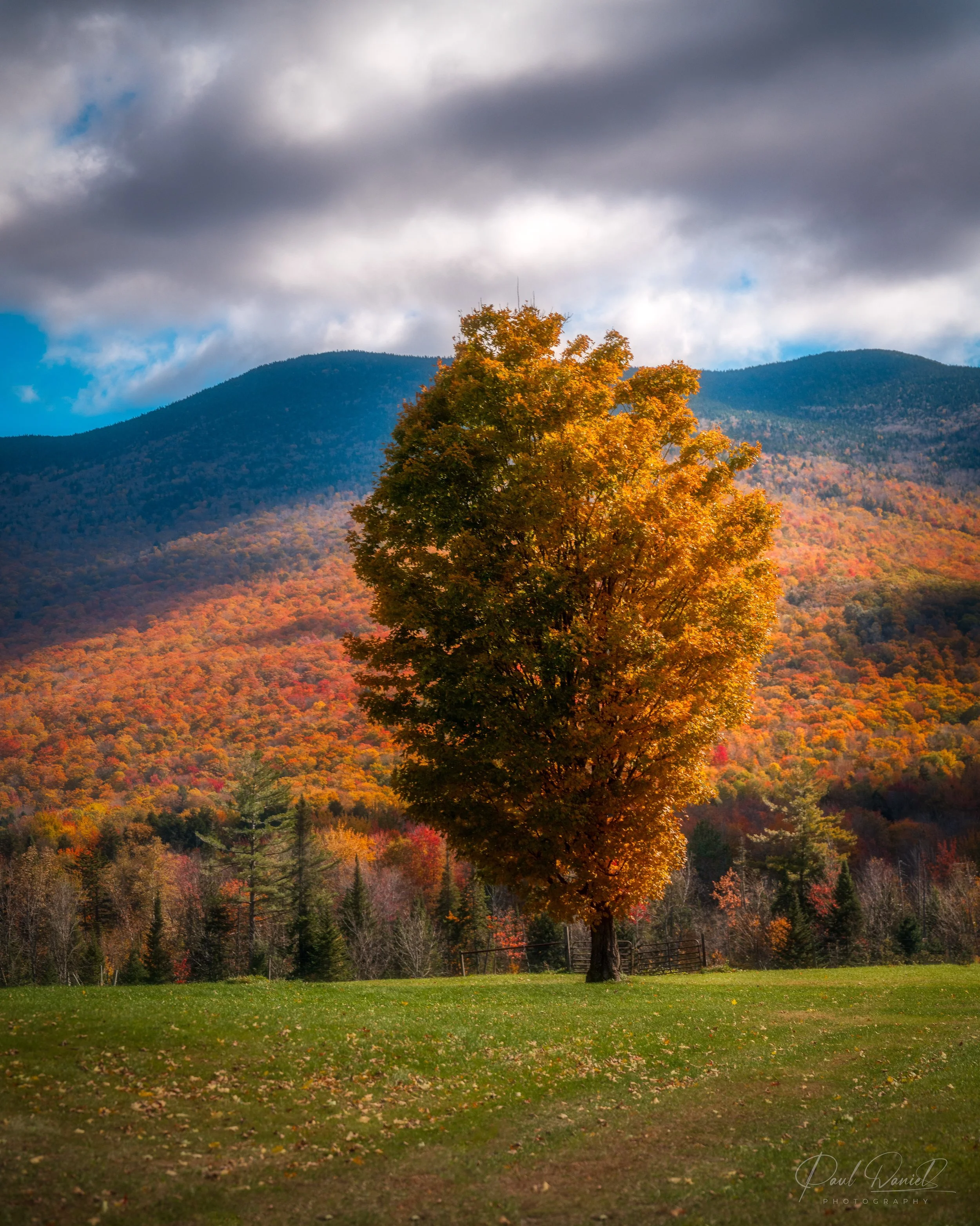 NEW ENGLAND 35