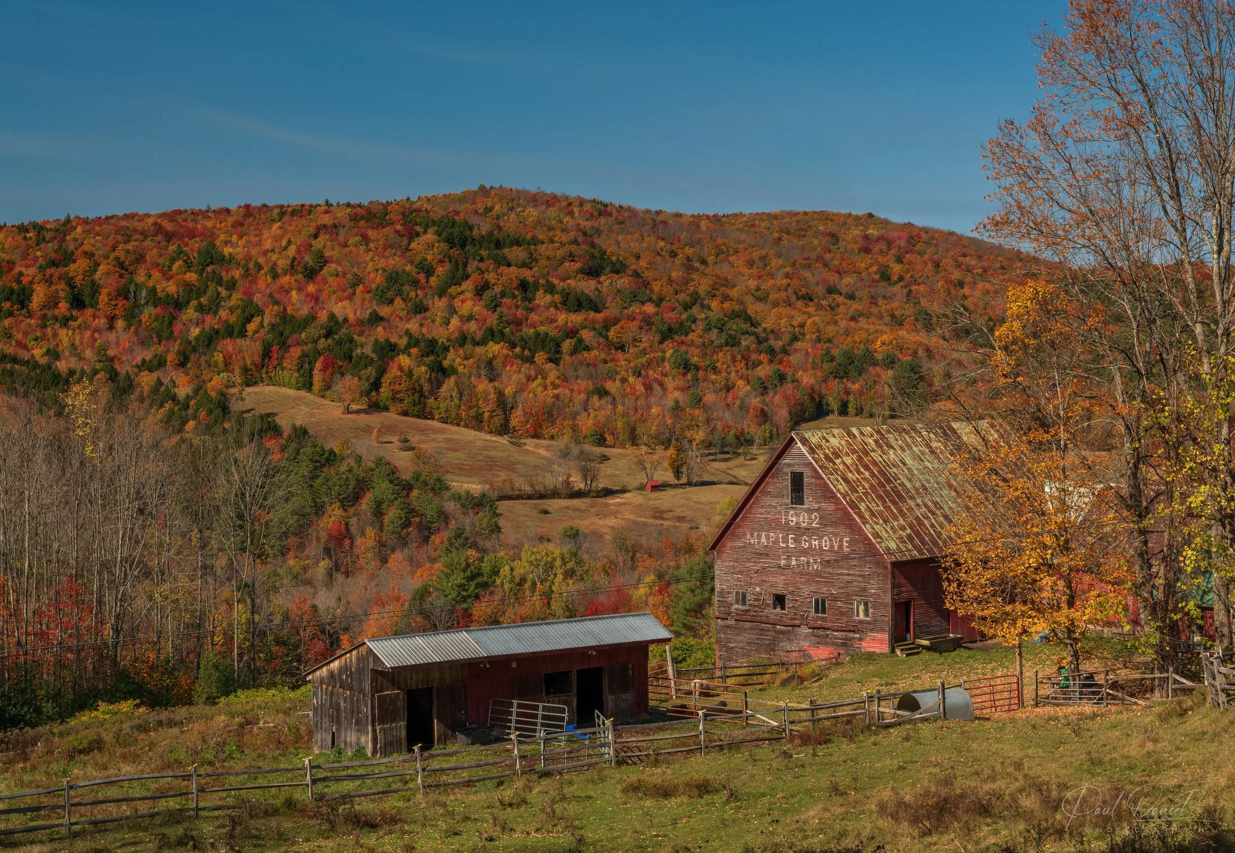 NEW ENGLAND 42