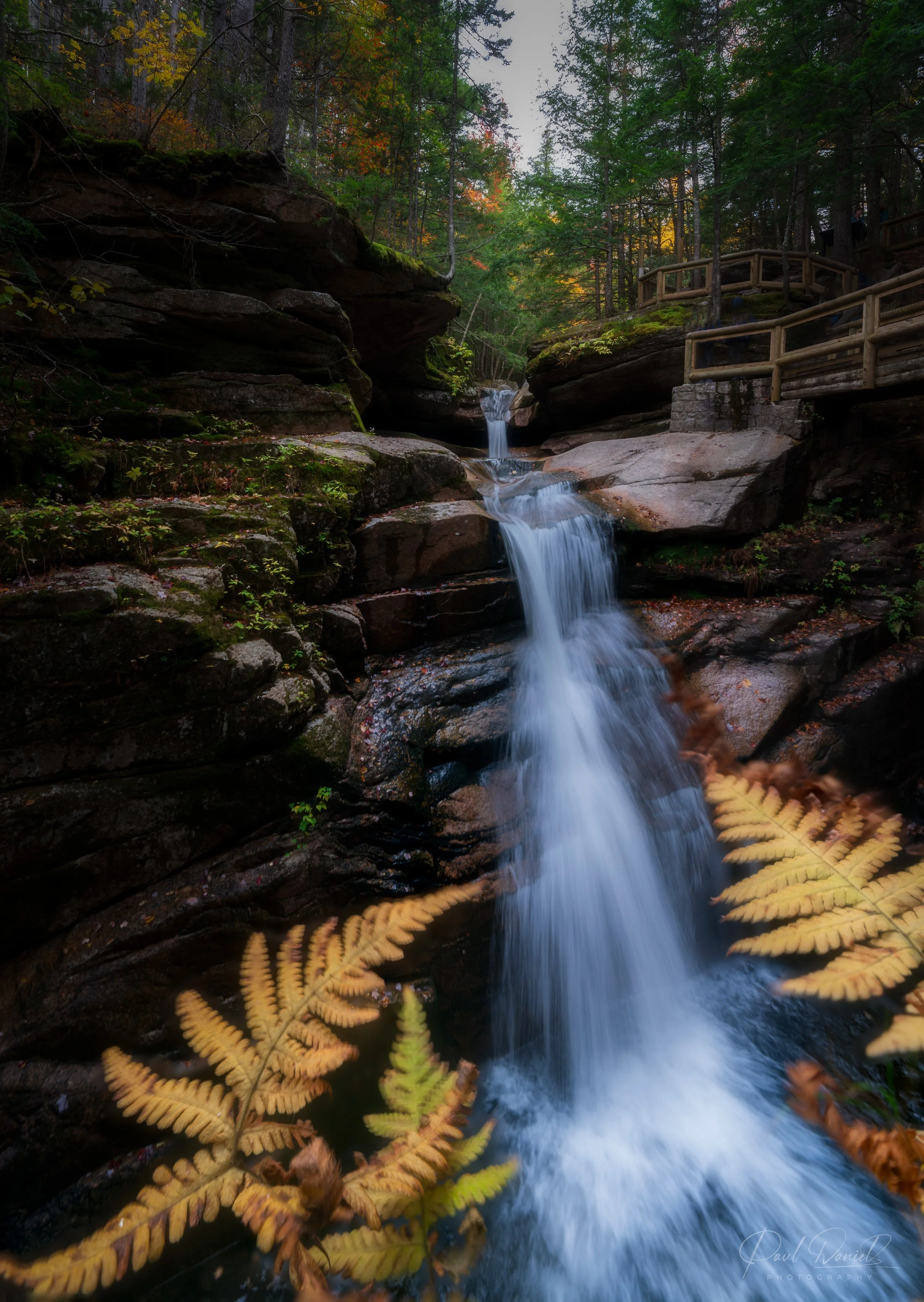 NEW ENGLAND 1