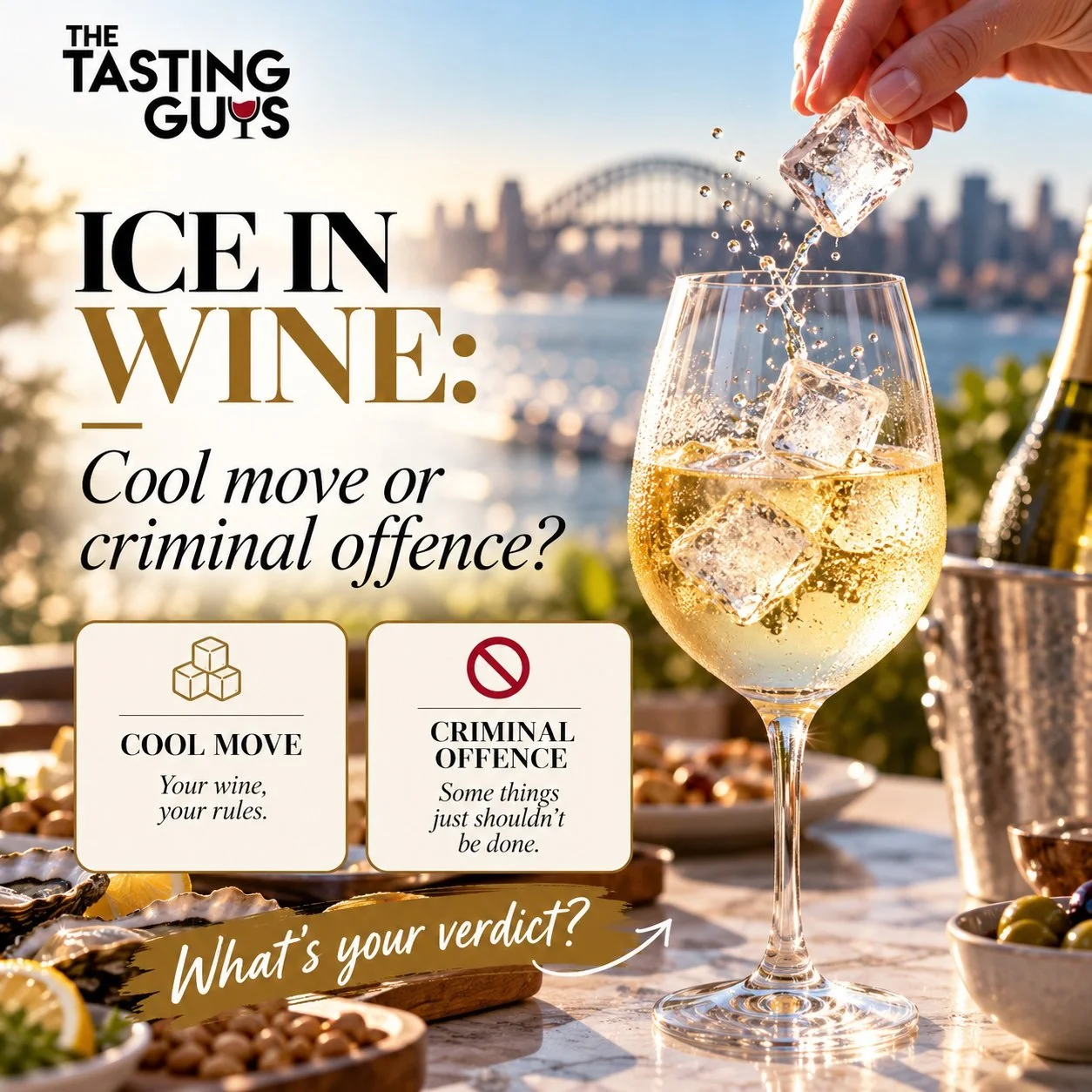 🧊🍷 Ice in wine: Cool move or criminal offence?