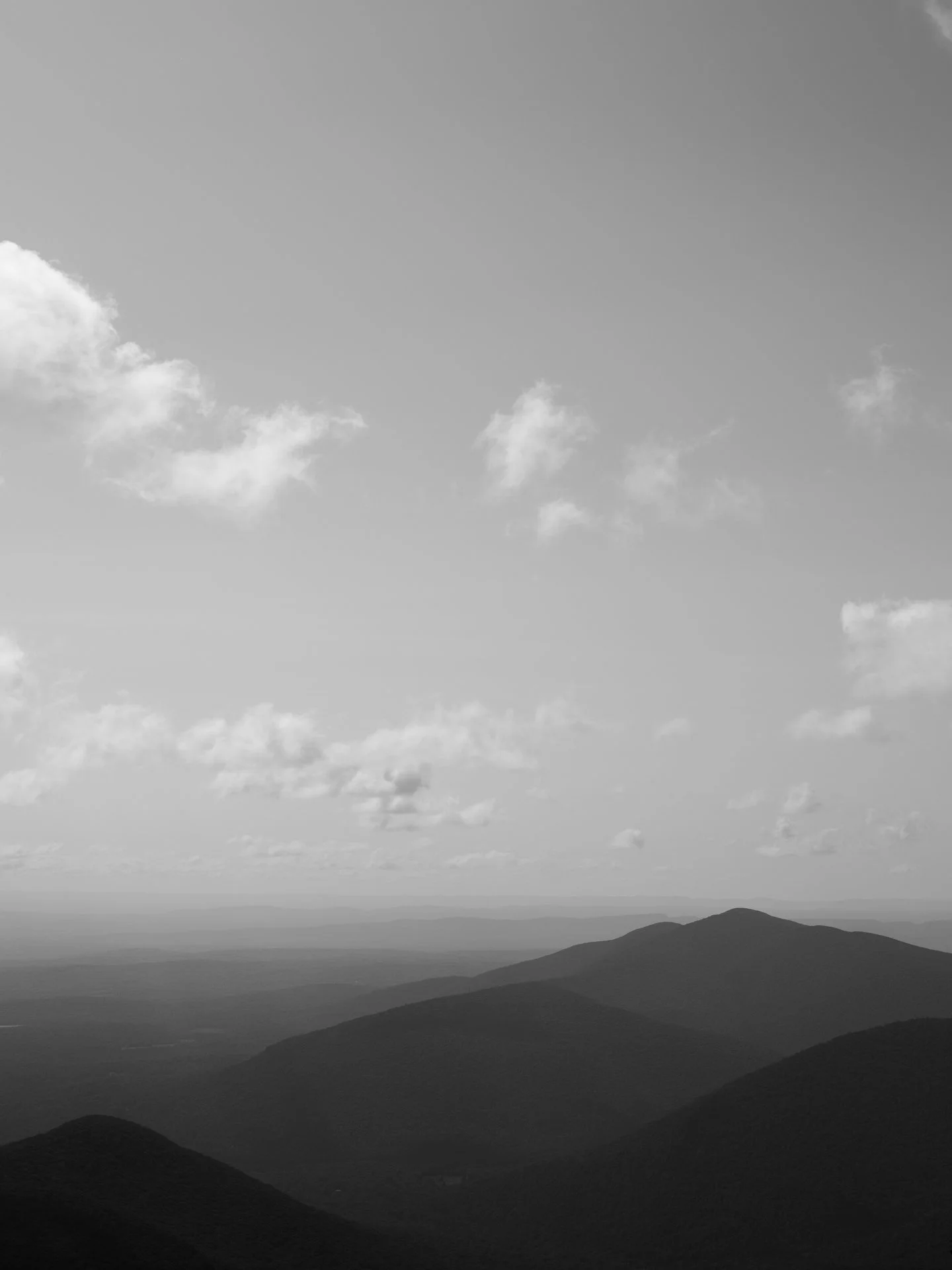 Outdoor_071.jpg