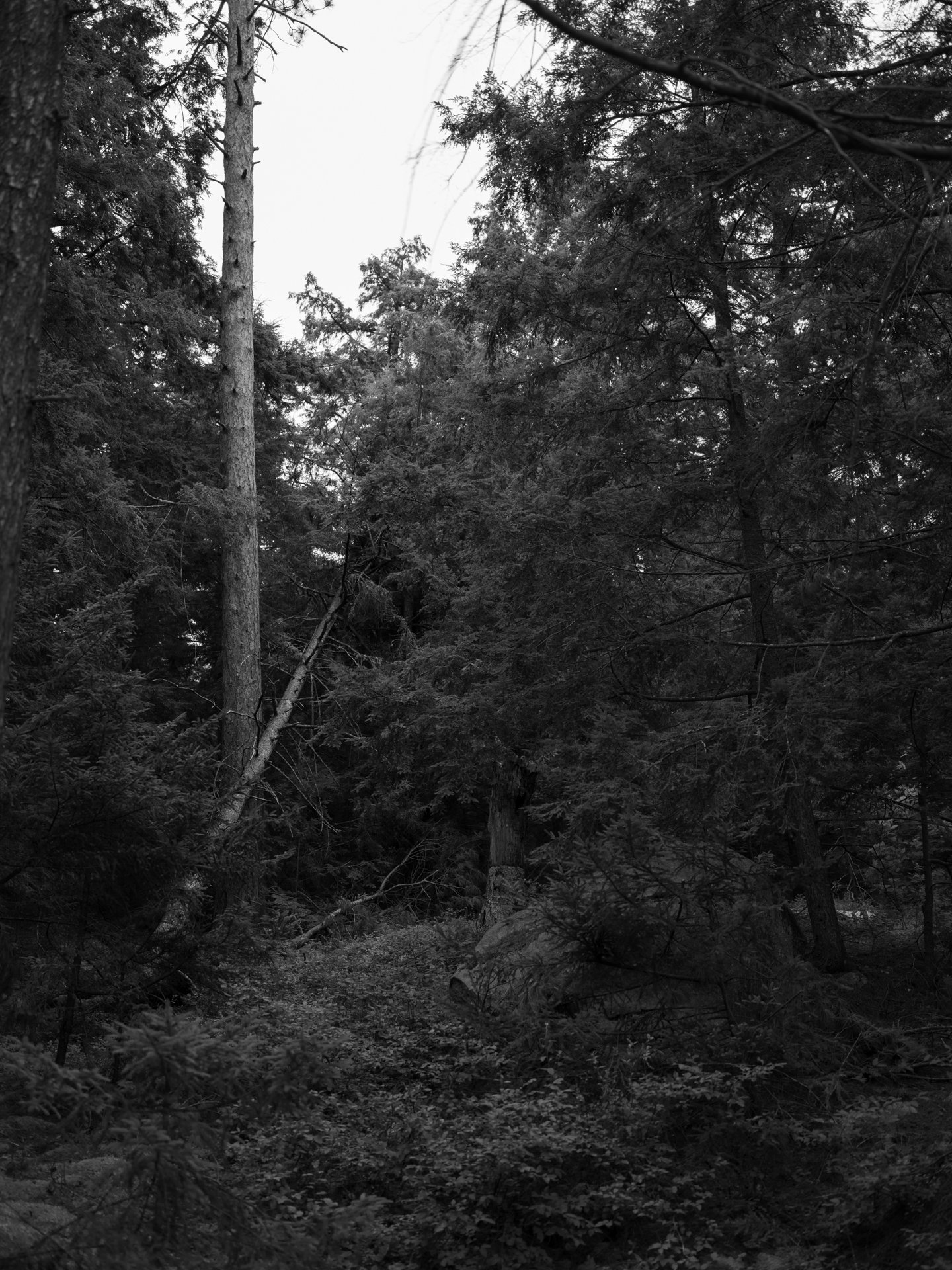Outdoor_077.jpg
