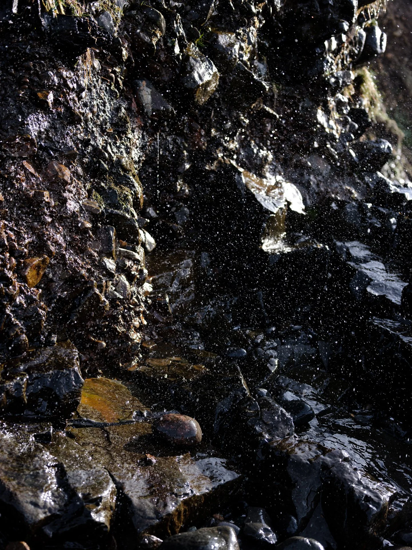 Outdoor_059.jpg