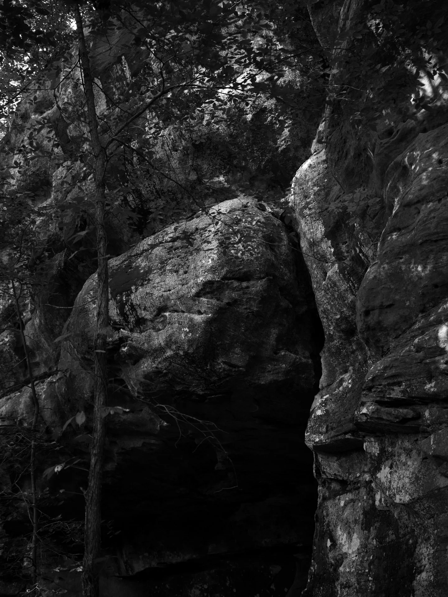Outdoor_038.jpg
