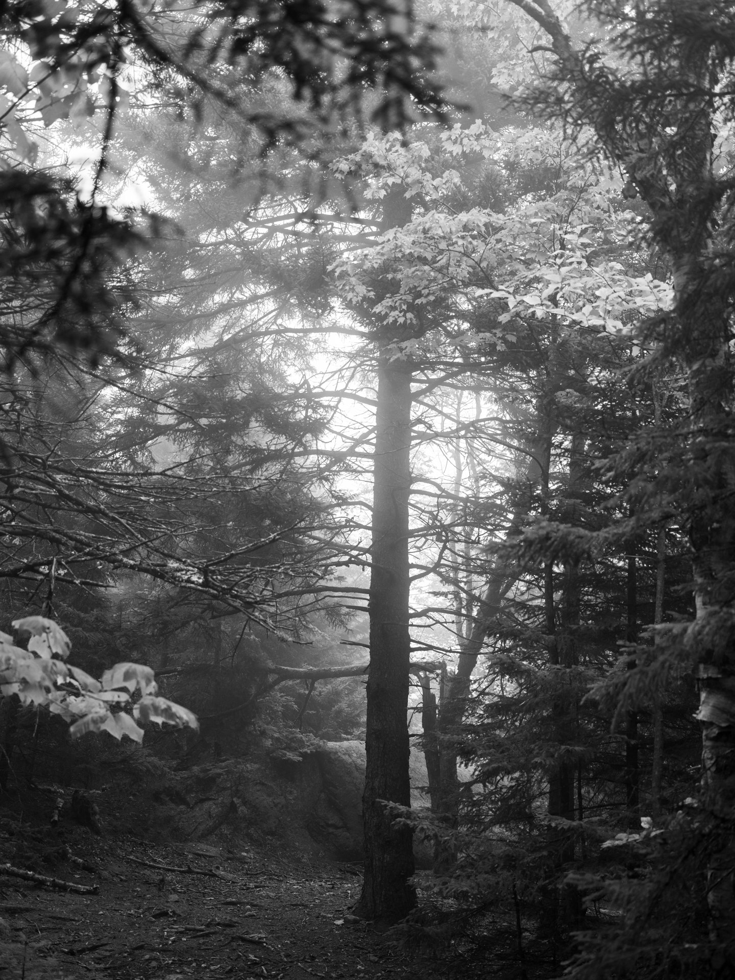 Outdoor_028.jpg