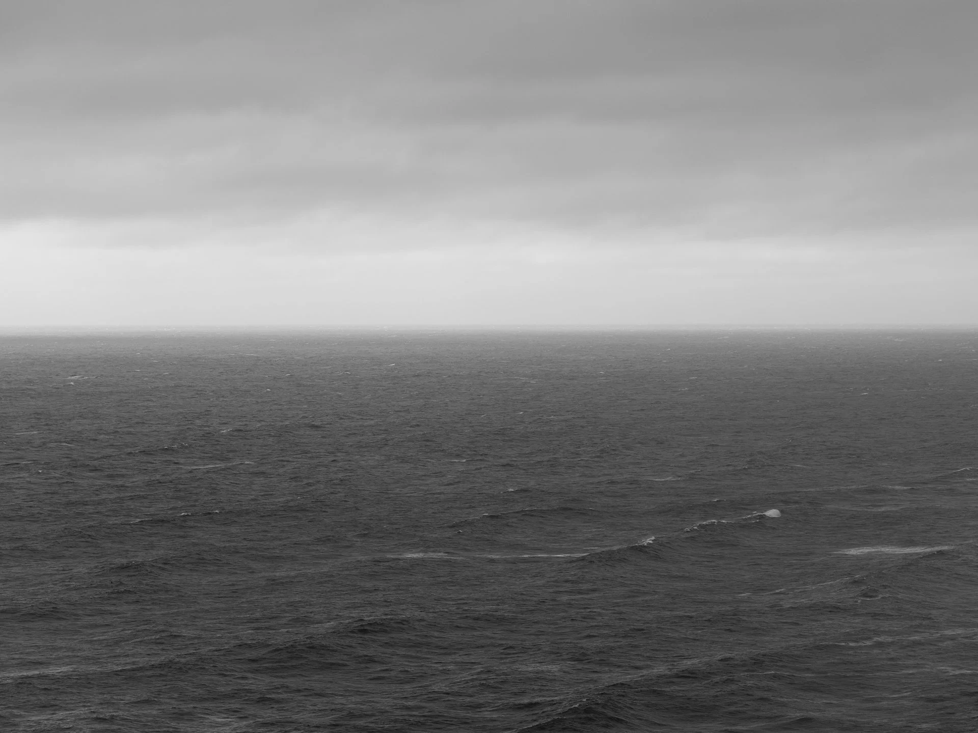 Outdoor_074.jpg