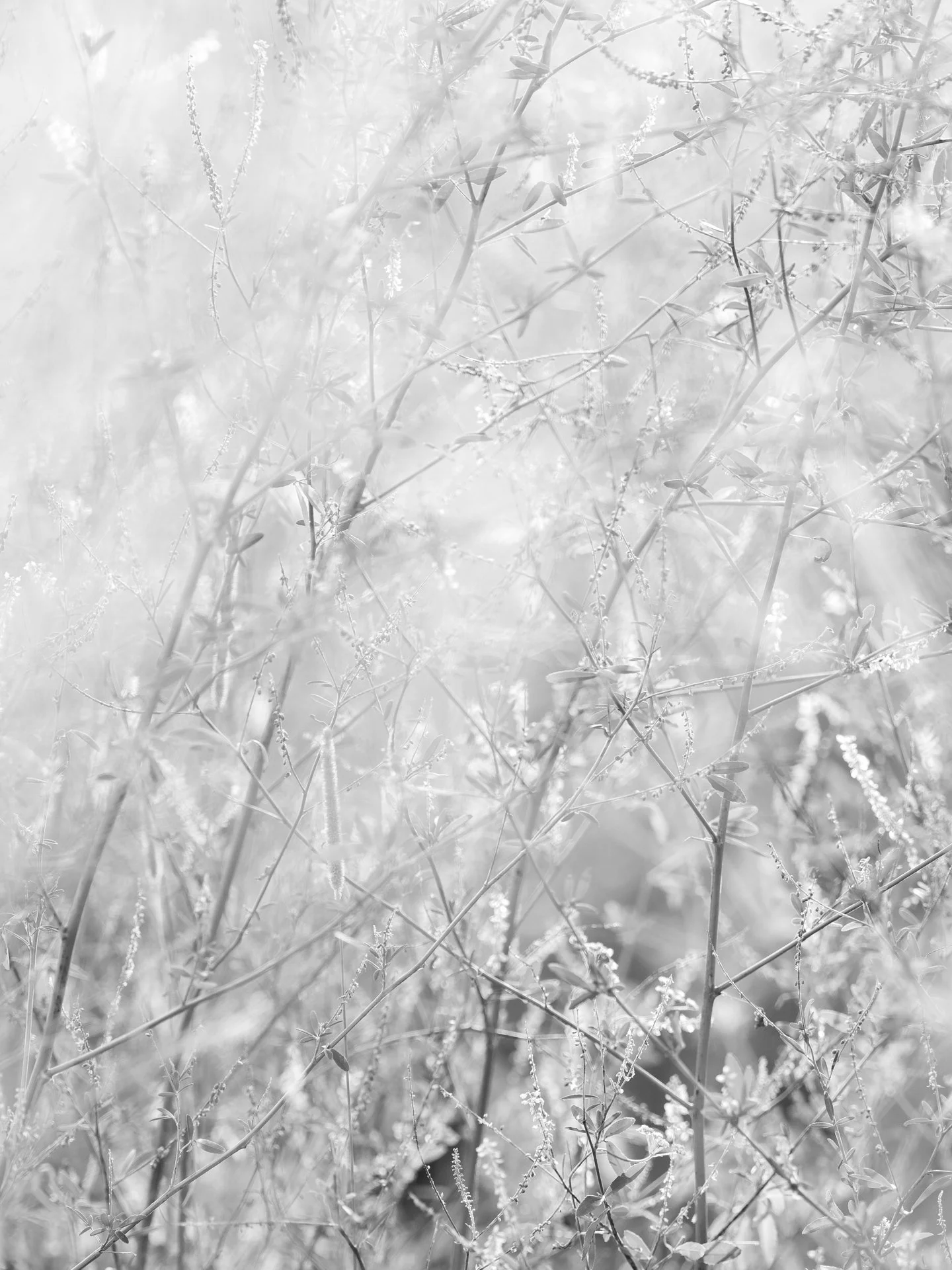 Outdoor_002.jpg
