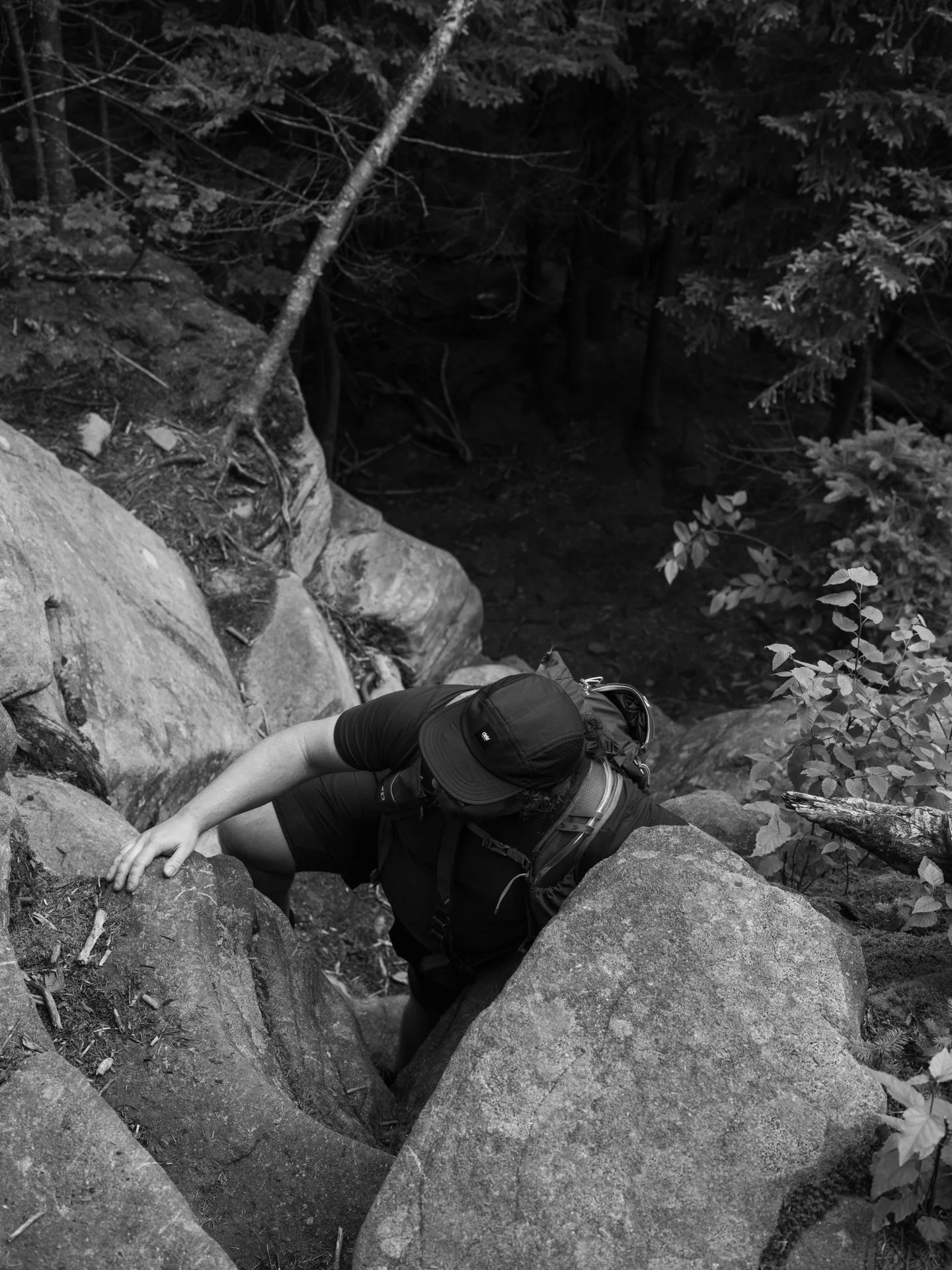 Outdoor_046.jpg