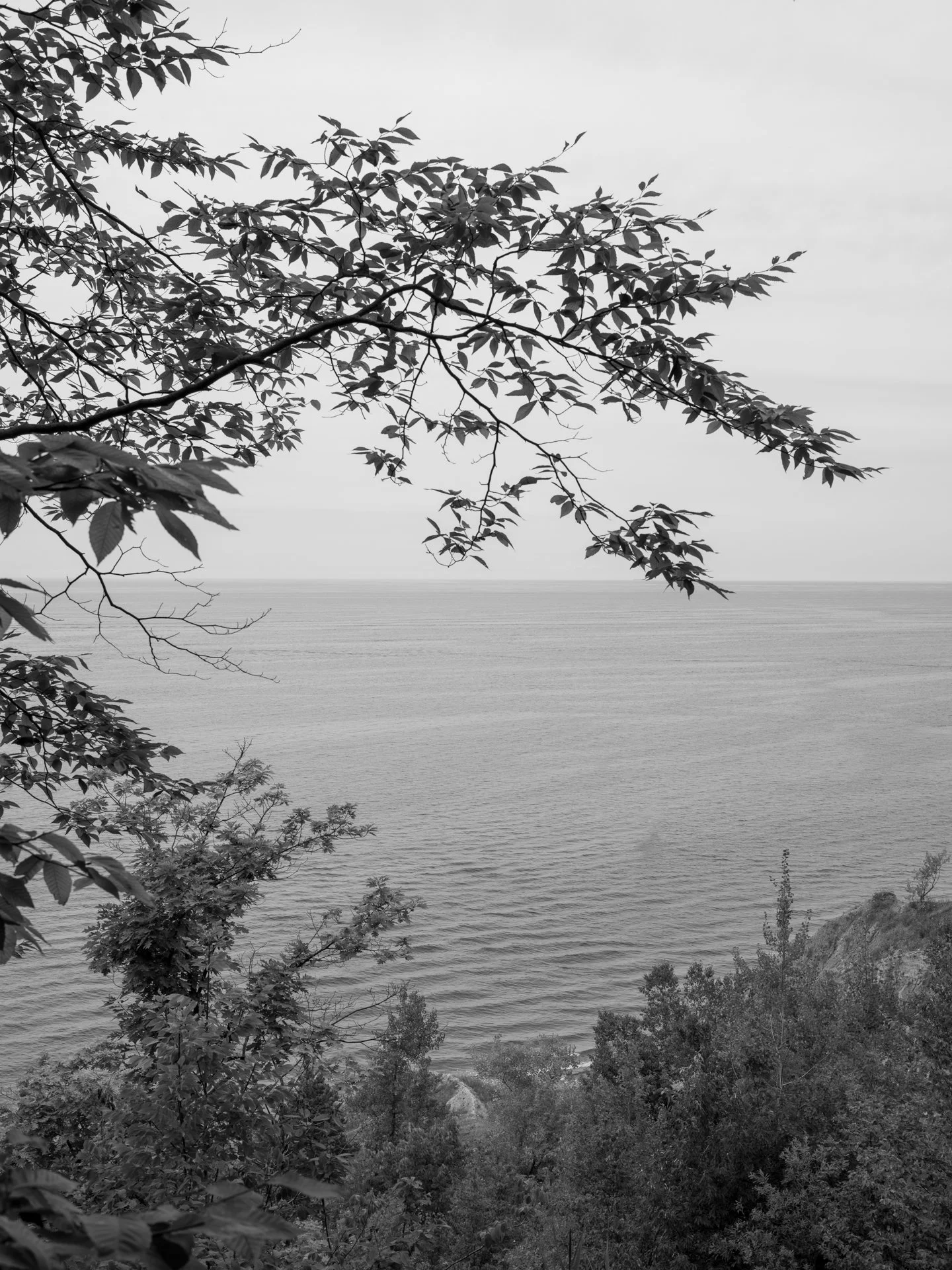 Outdoor_005.jpg