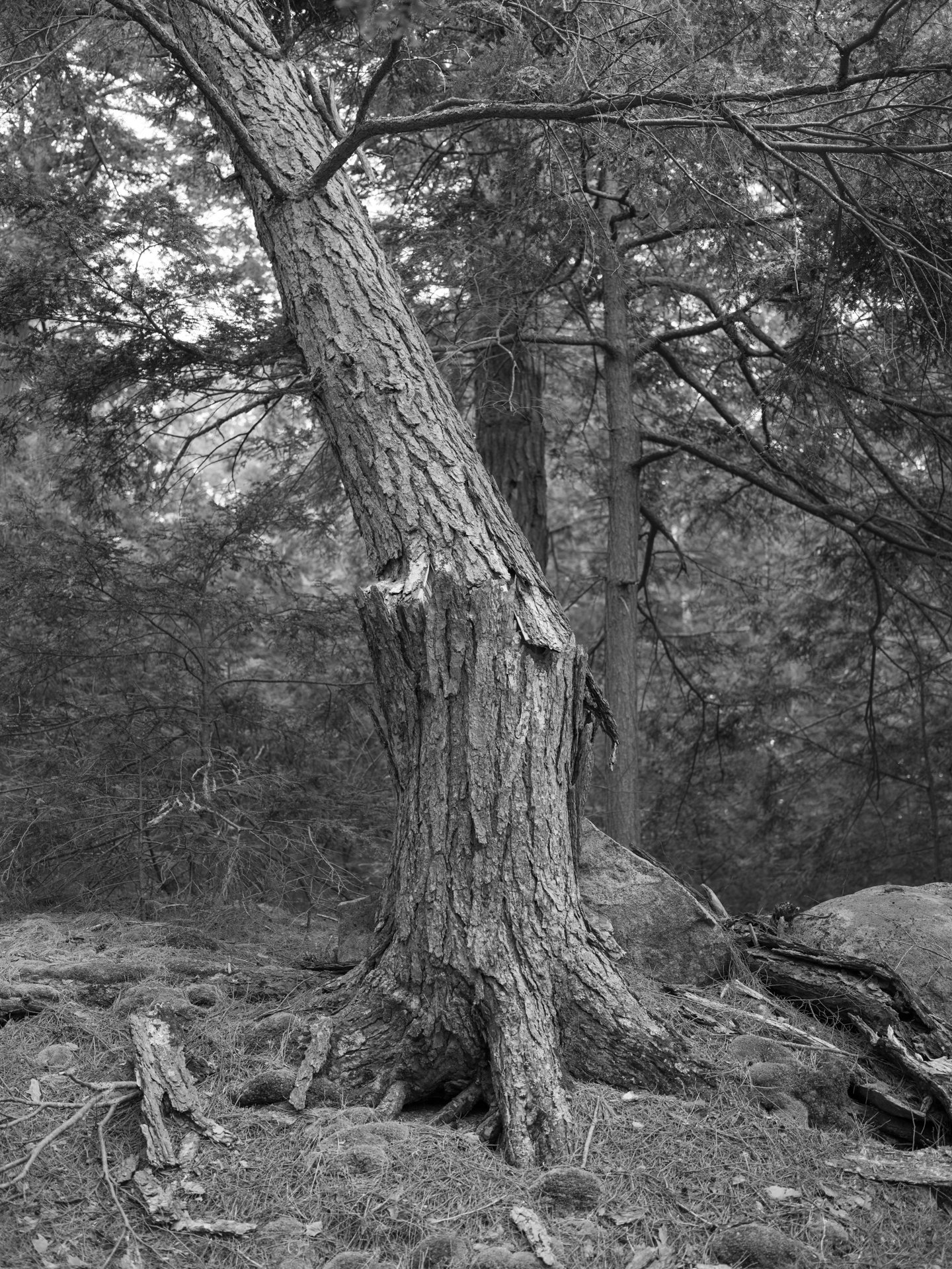 Outdoor_015.jpg