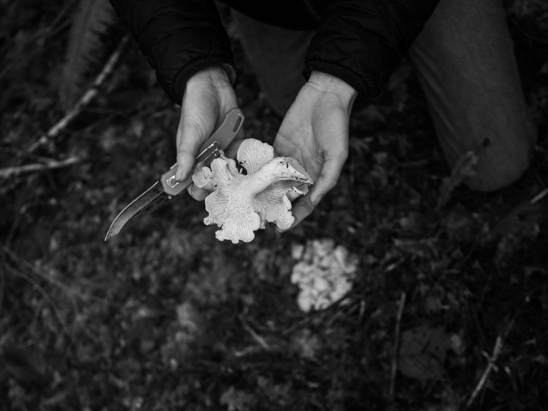Outdoor_030.jpg