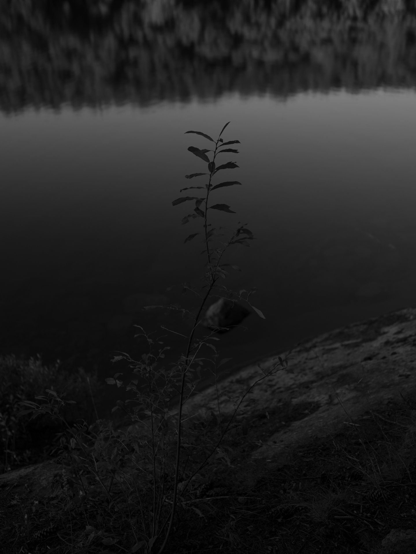 Outdoor_011.jpg
