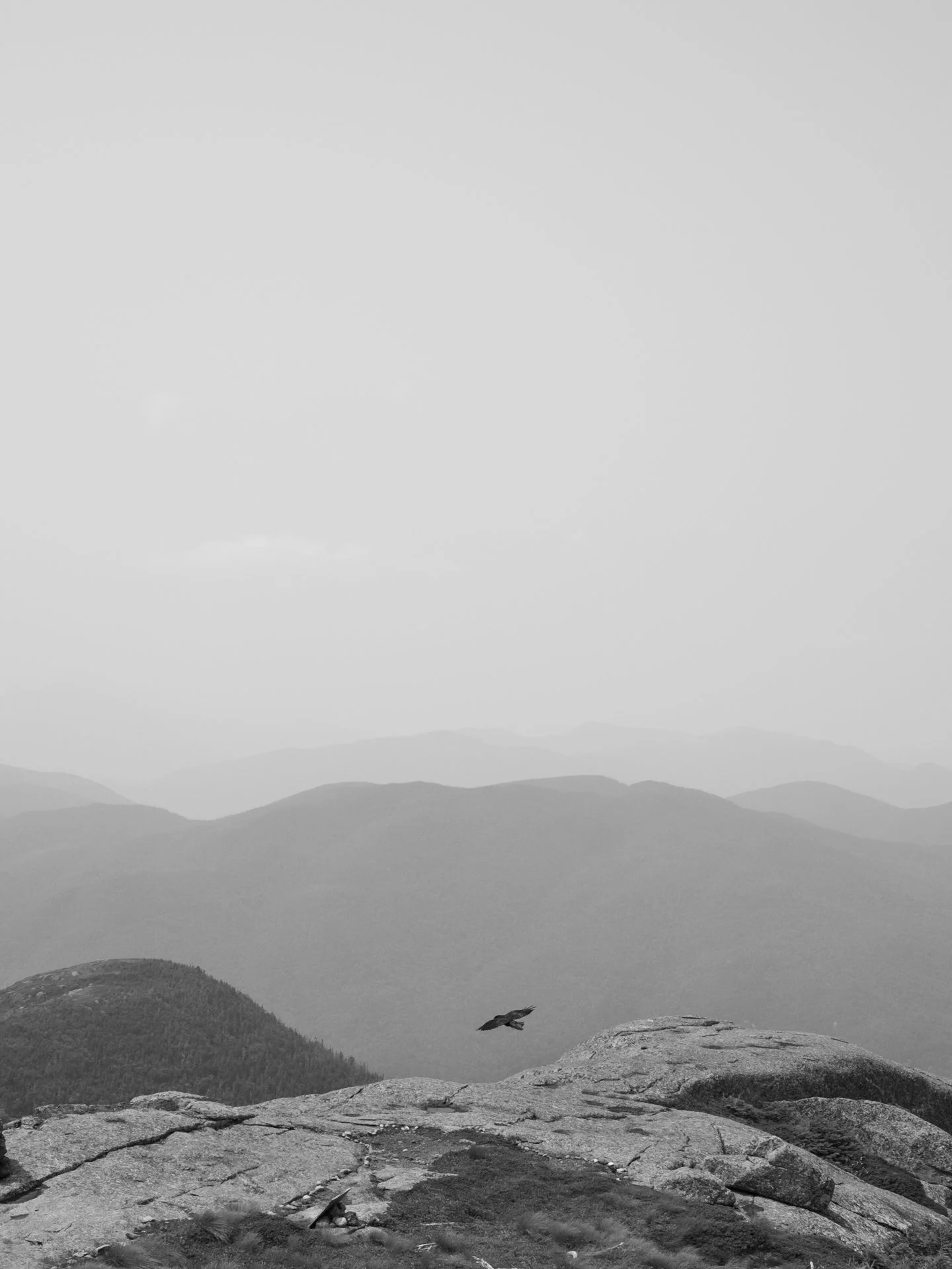 Outdoor_003.jpg
