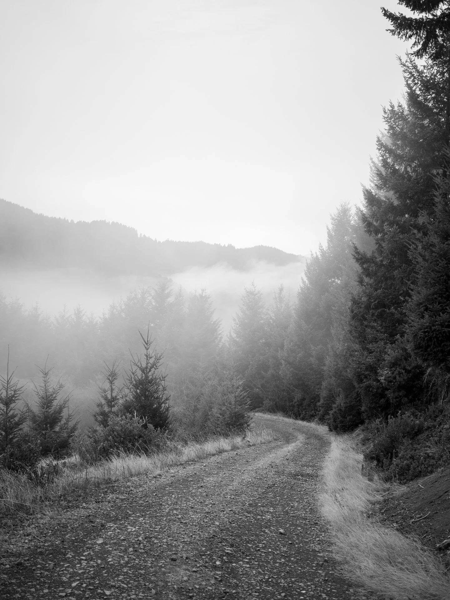 Outdoor_067.jpg