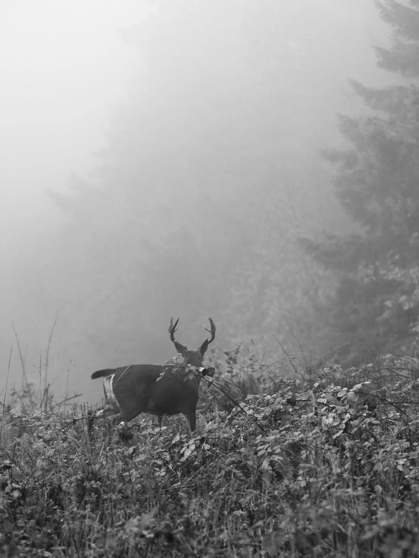 Outdoor_012.jpg