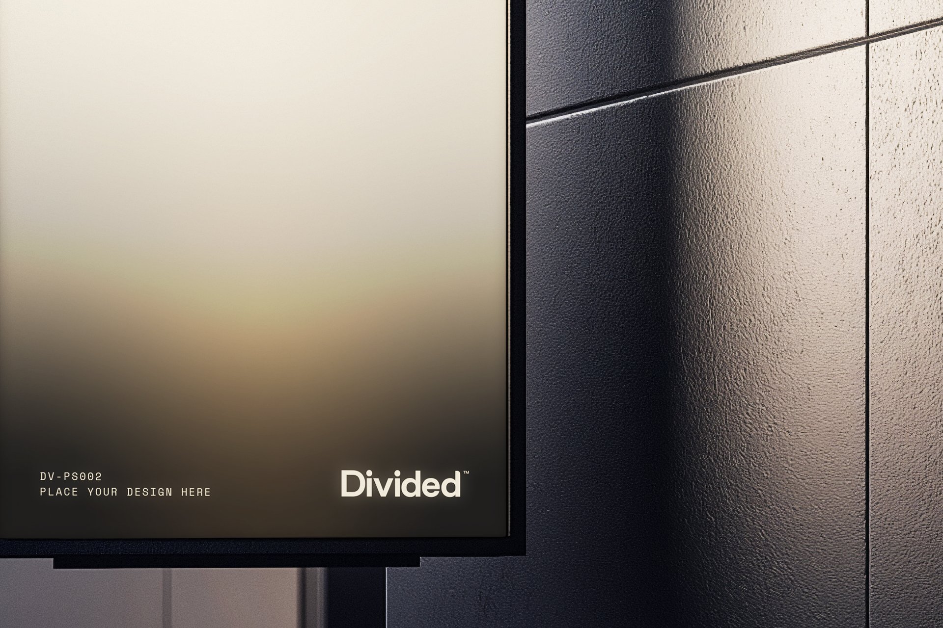 DV-PS002_Example.jpg