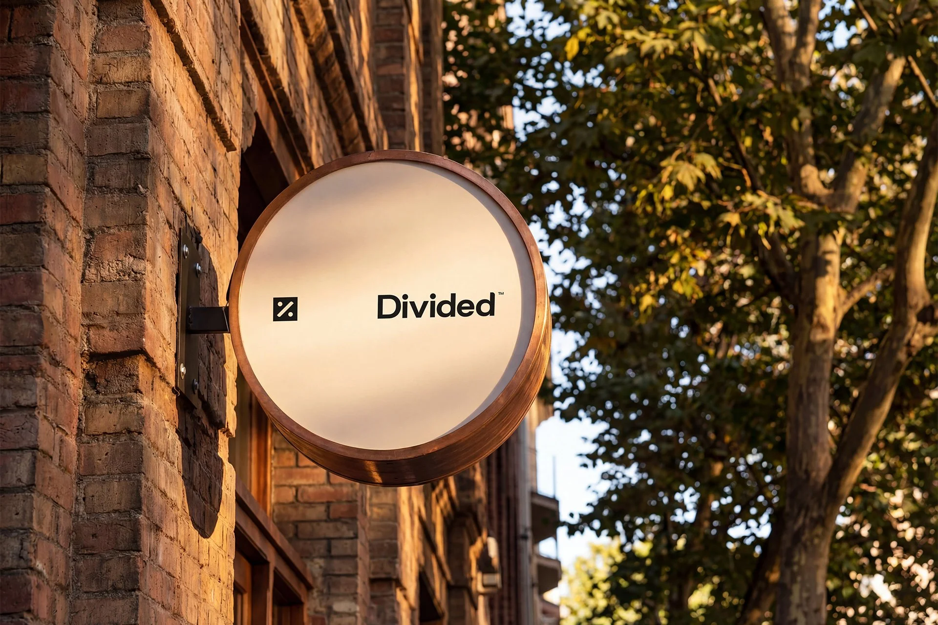 DV-SB006-1.jpg