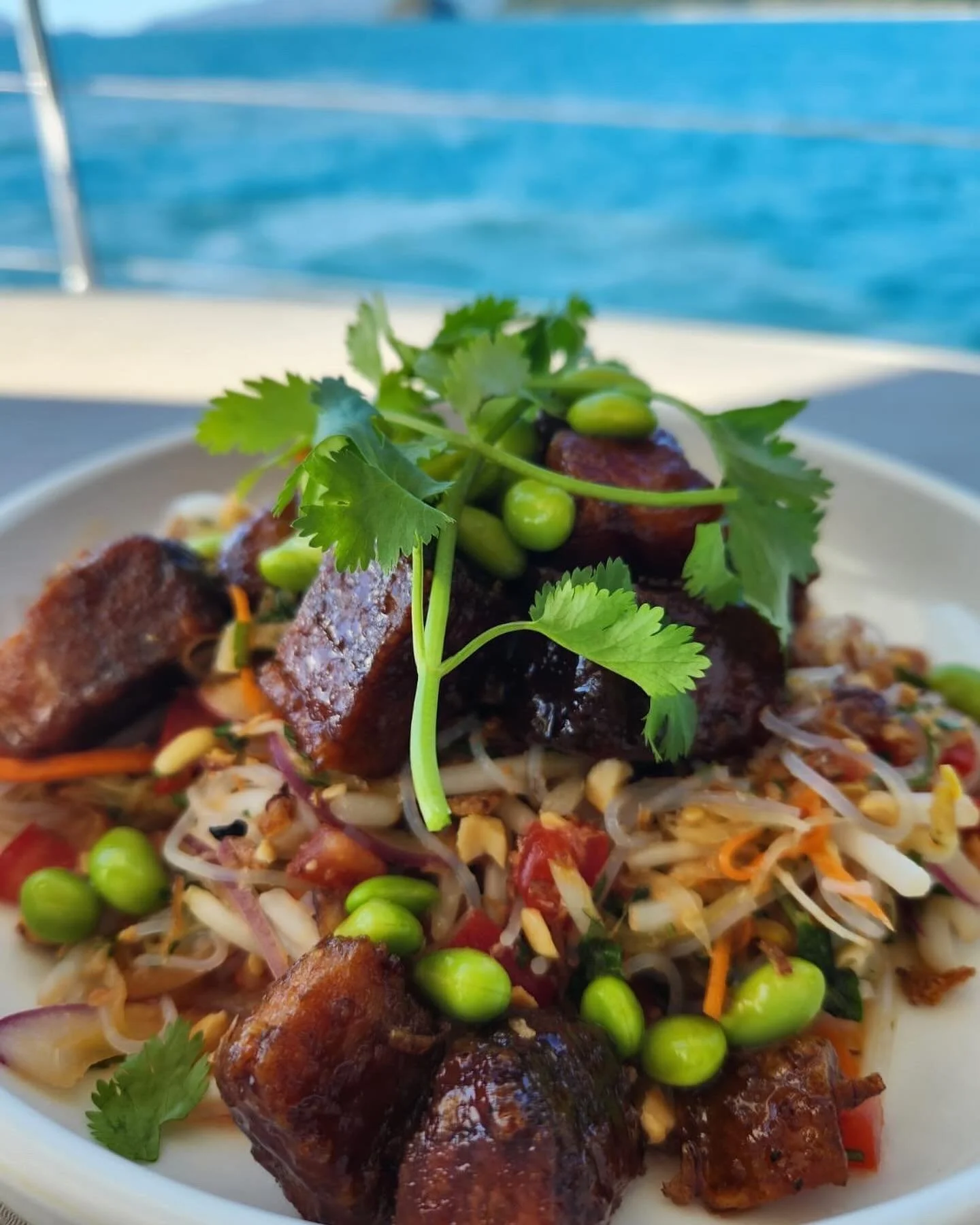 This is how we do lunch in The Whitsundays.
Crispy Asian pork belly with rice noodle Thai salad

 @oulalachef @whitsundayluxuryyachtcharters 
contact@nisiyacht.com.au
www.nisiyacht.com.au
 
#nisiyacht #motoryachtnisi #whitsundays #hamiltonisland #hay