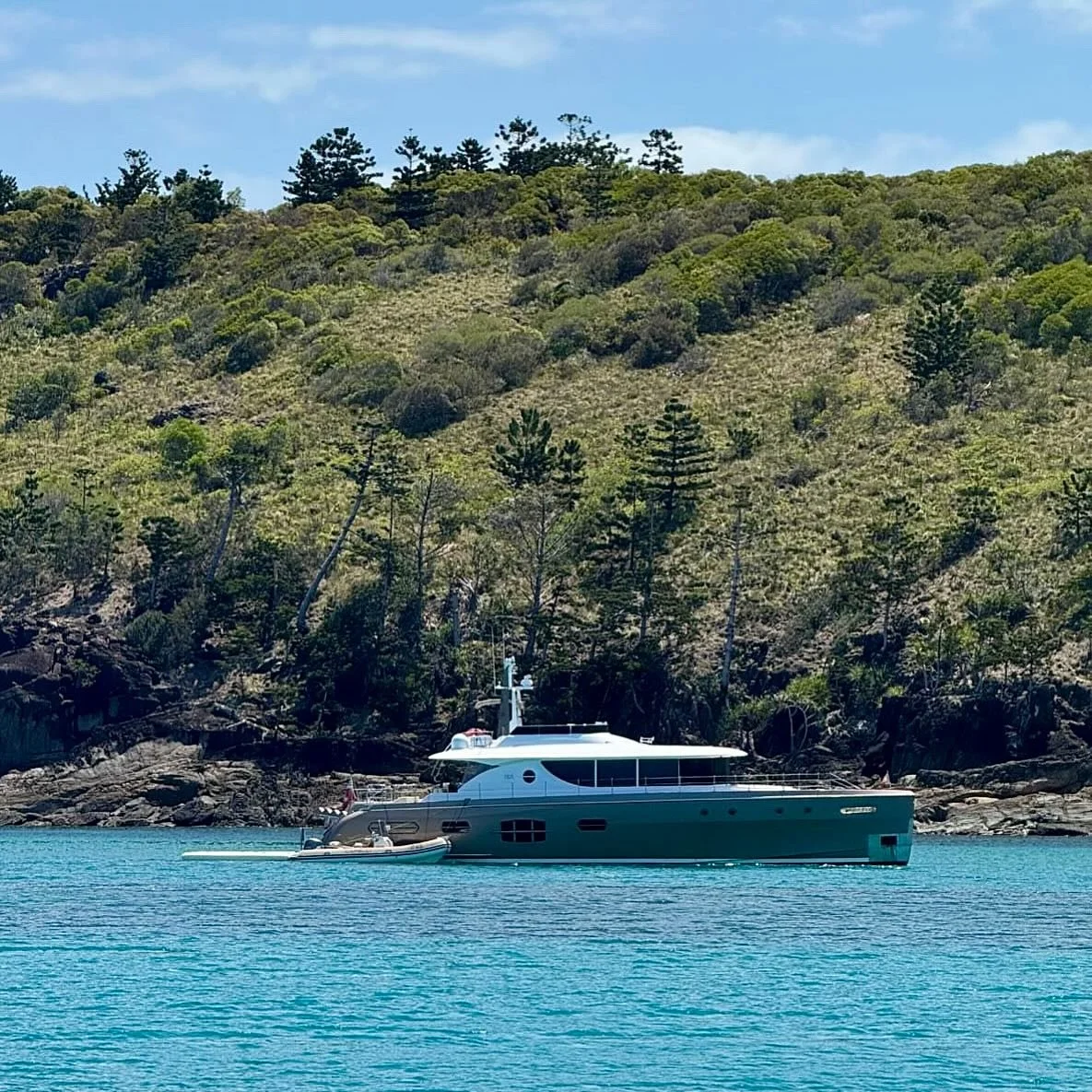 Nisi spotted at Chance Bay ⚓️