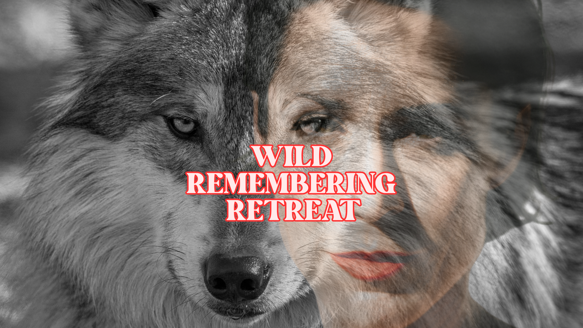 Copy of WILD REMEMBERING (2).png