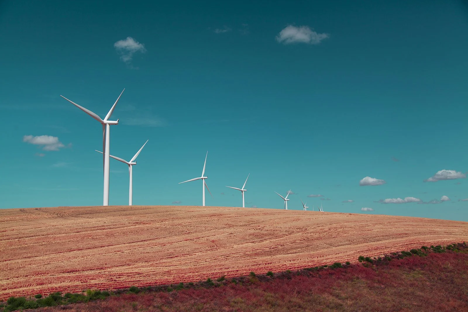 2019_08_12_Pullman_Windmills08_web.jpg