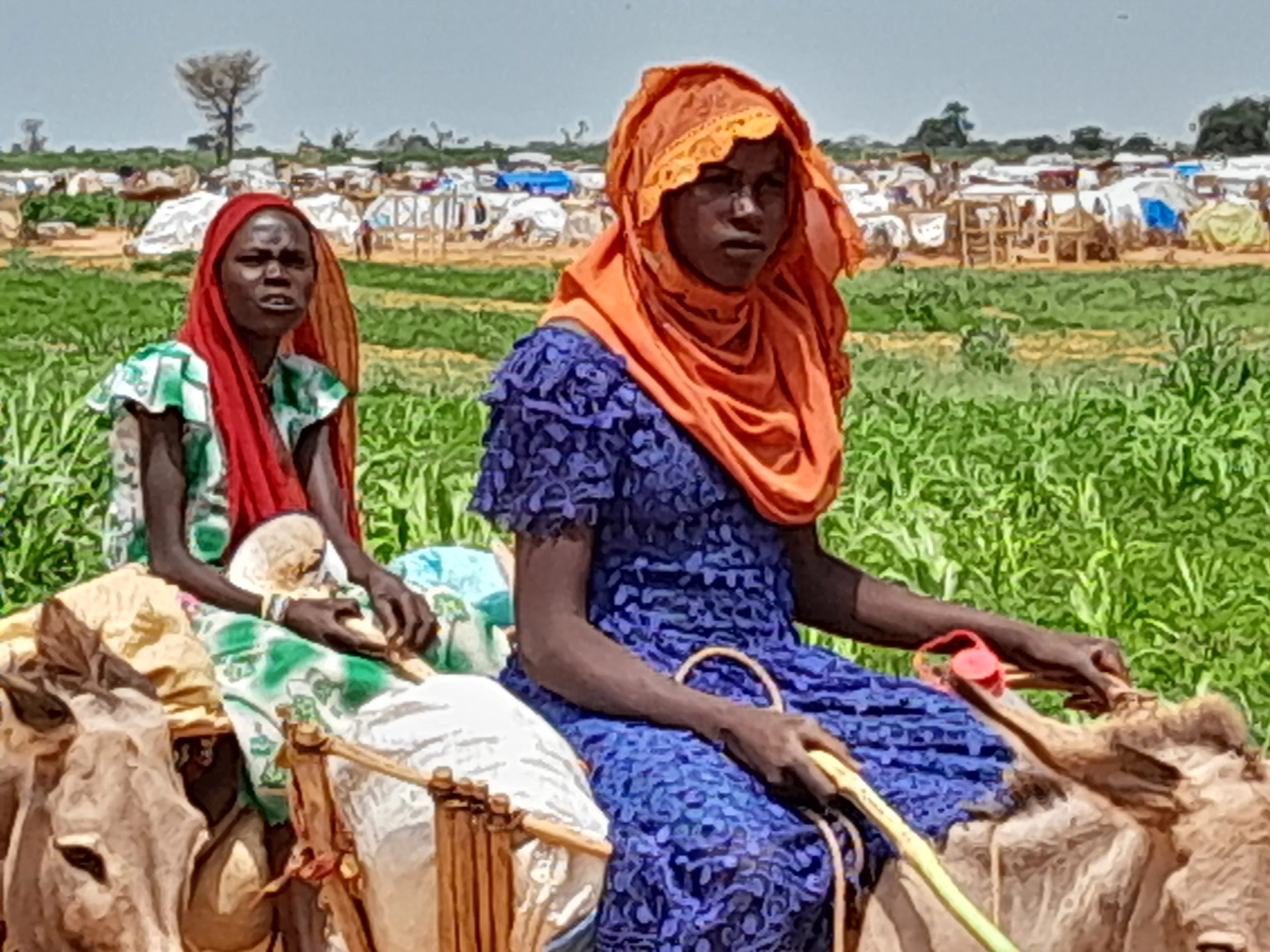 World Refugee Day 2026 75 years of protection: "Until Everyone Is Safe"