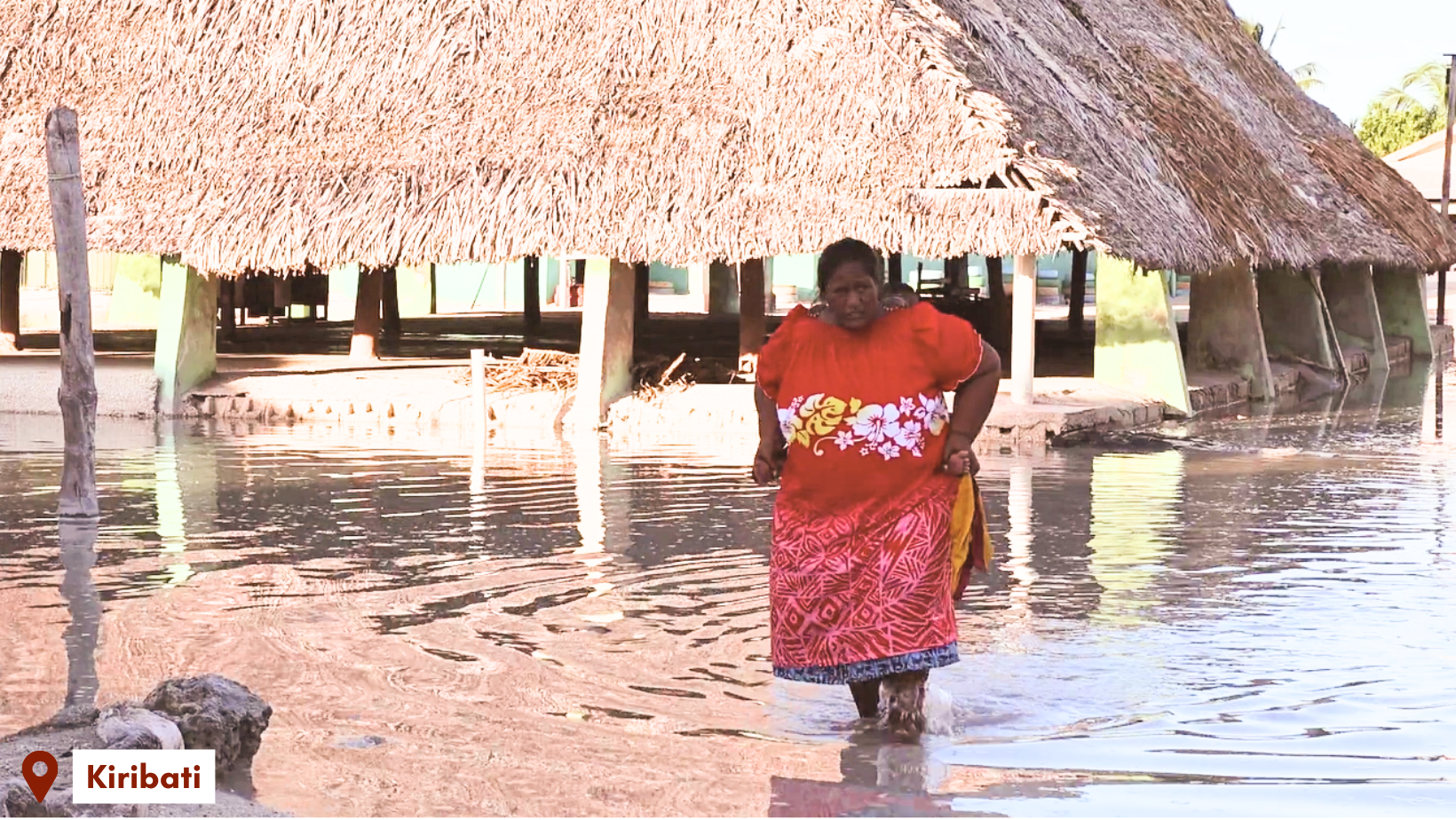 Kiribati: Compost &amp; cabbages combat climate change&nbsp;&nbsp;