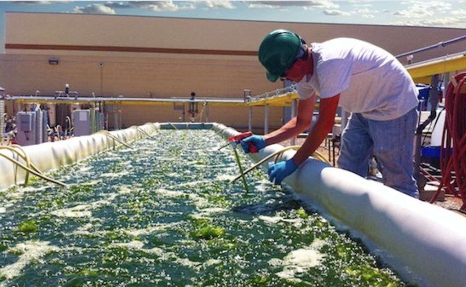 Screenshot 2024-12-30 at 2.45.00 PM.png