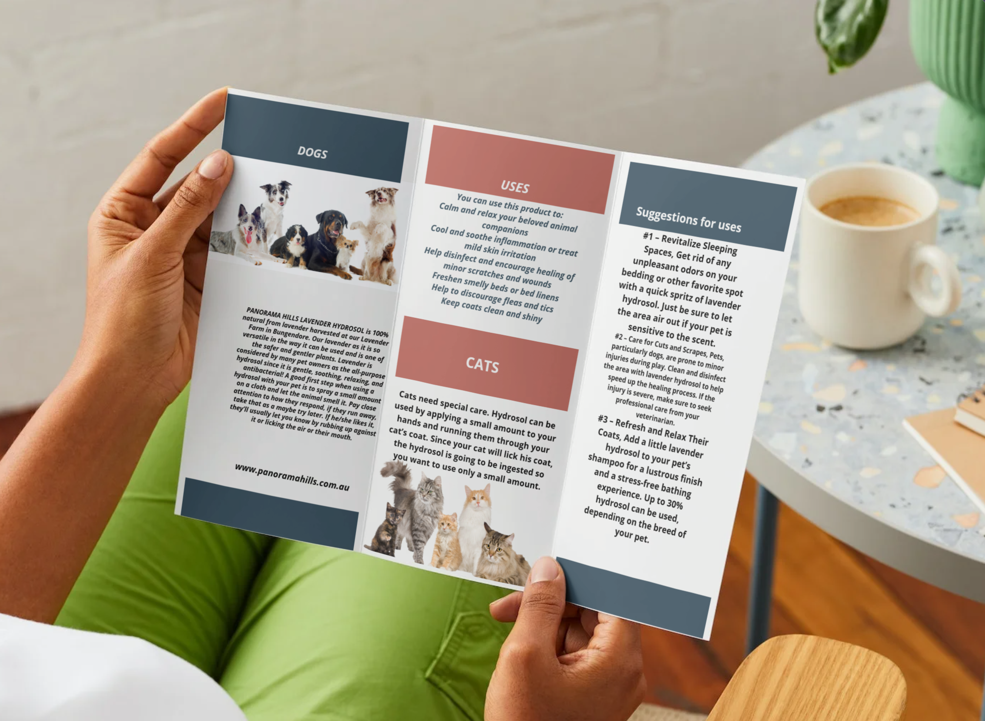 Brochure for lavender Hydrosol for pets — Panorama Hills