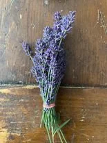 Small bundle of lavender flowers on wooden surface.