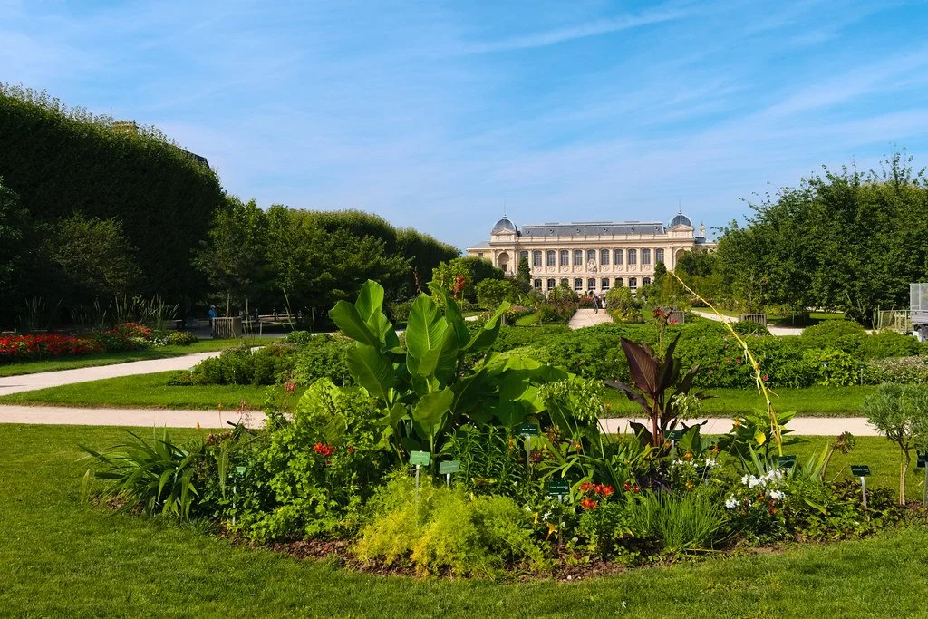 Le jardin des Plantes et ses Grandes Serres.