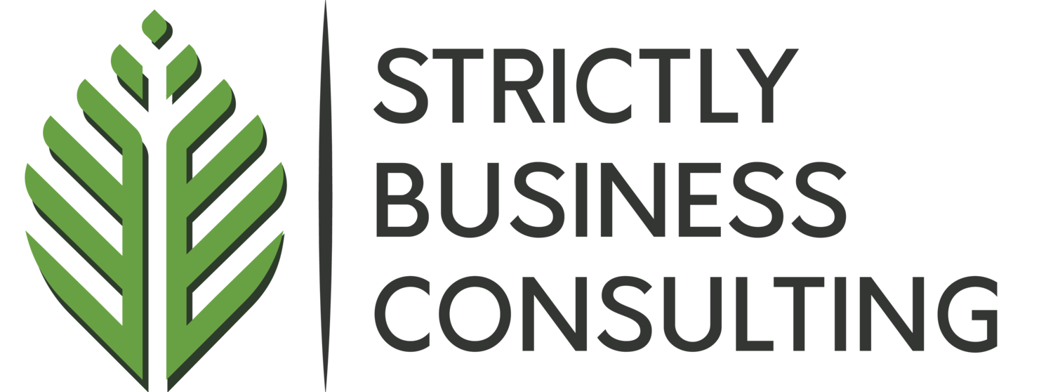 Strictly Business Consulting- Hawaii