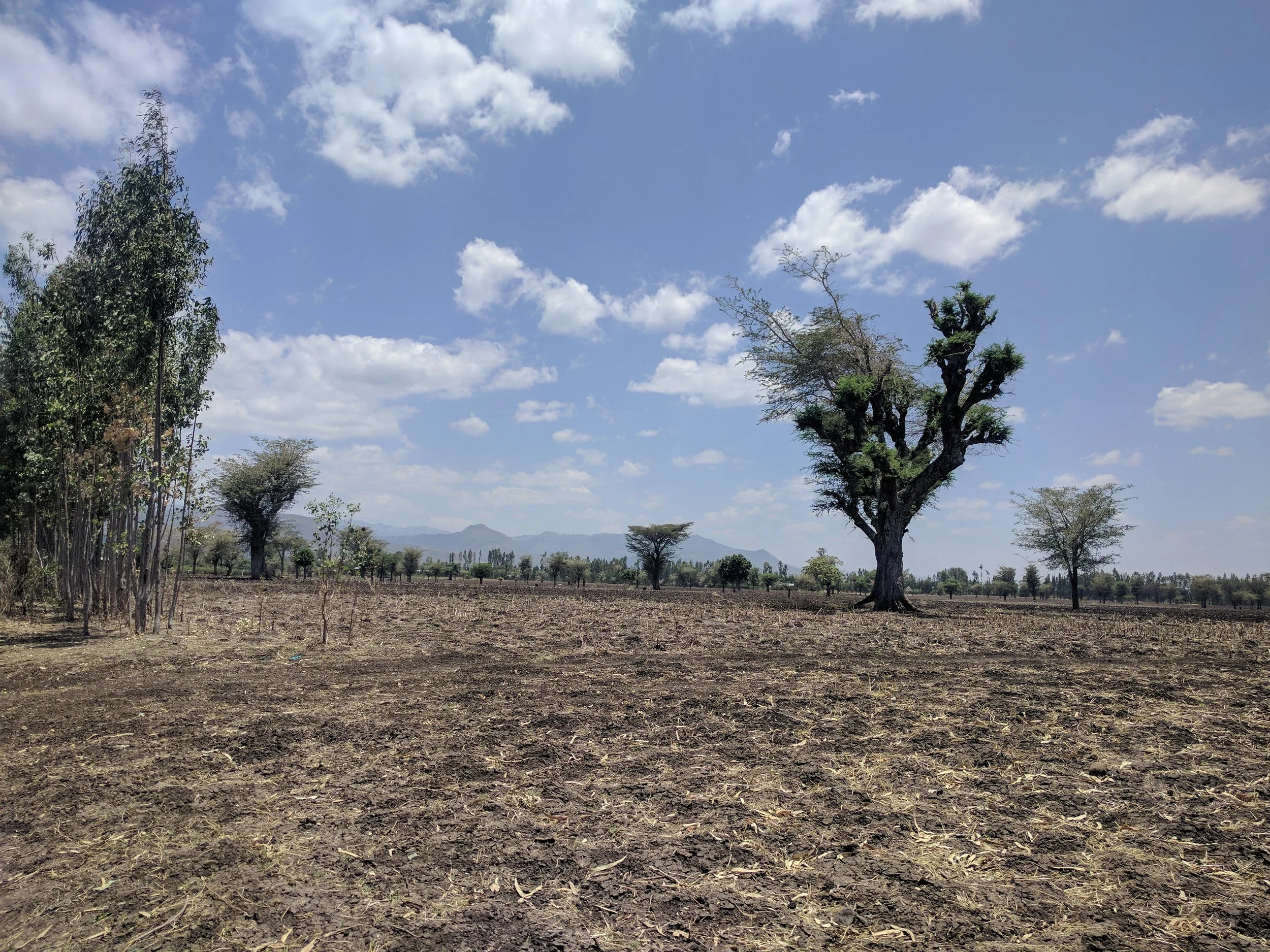 Construction Commences!