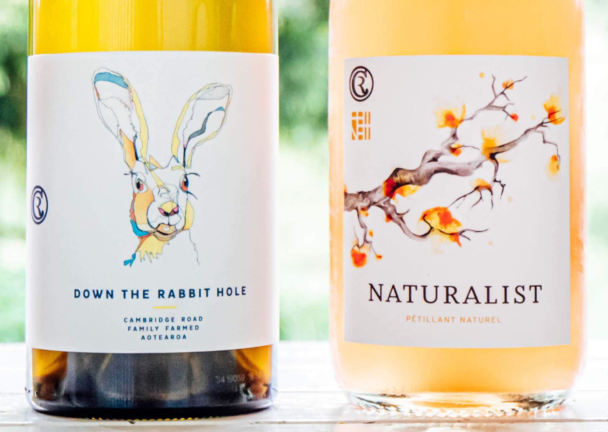 Rabbit Naturalist.jpg