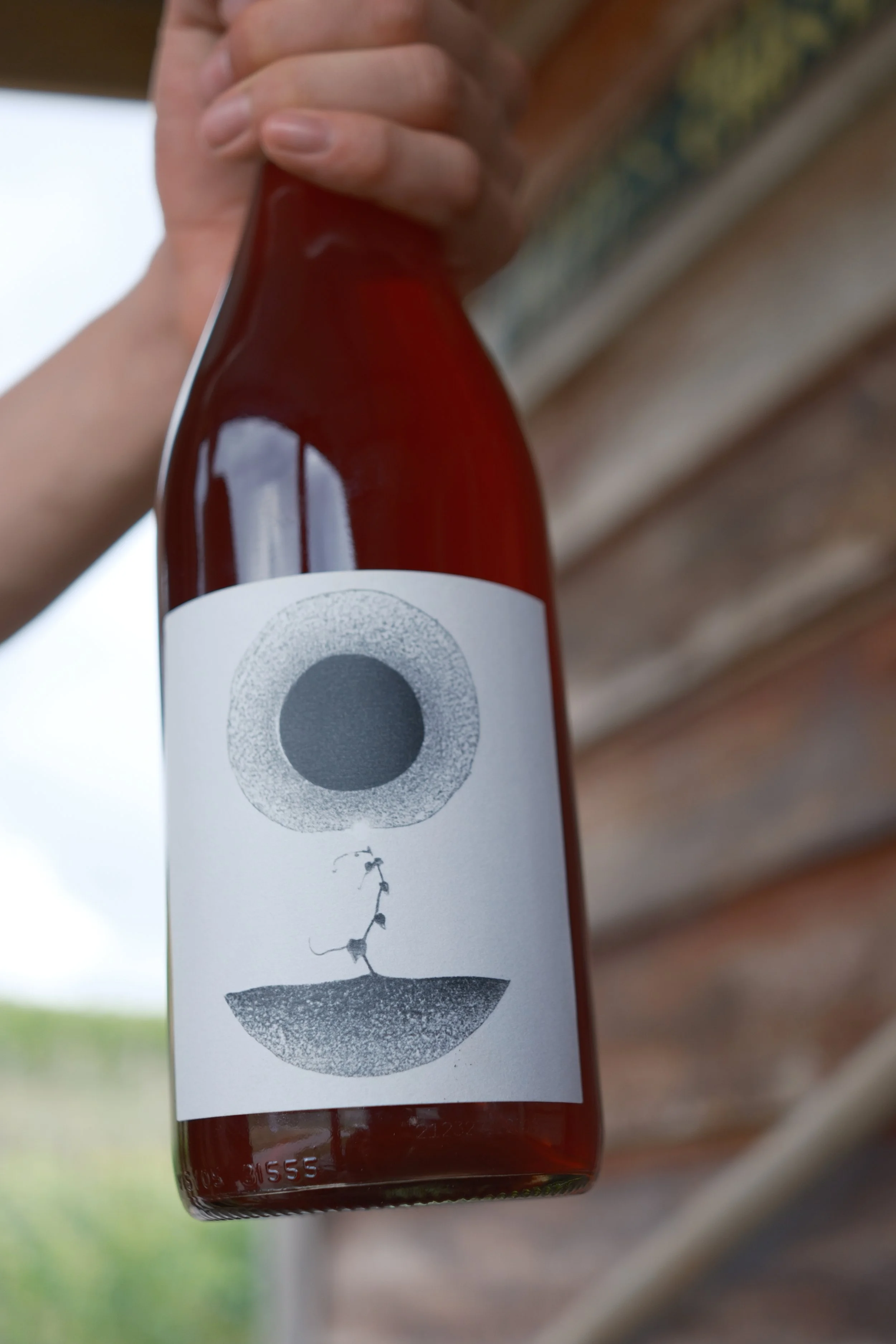 9C7FD964-1AEE-4942-9CBE-660453C62B41 2 - Annabelle Koopman.JPEG