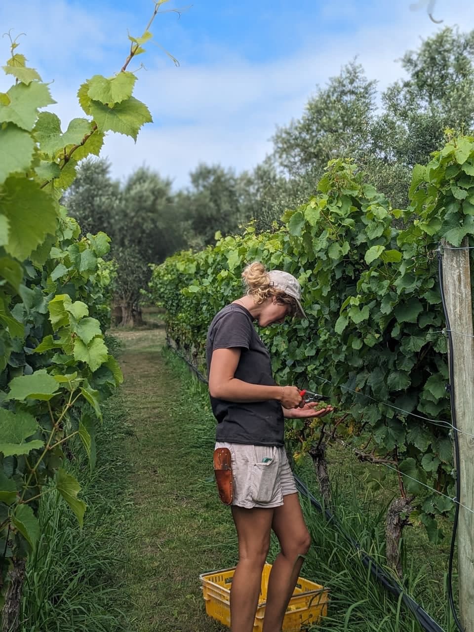 991370F5-3D39-454C-A063-D6CF395F3A85 - Annabelle Koopman.JPG