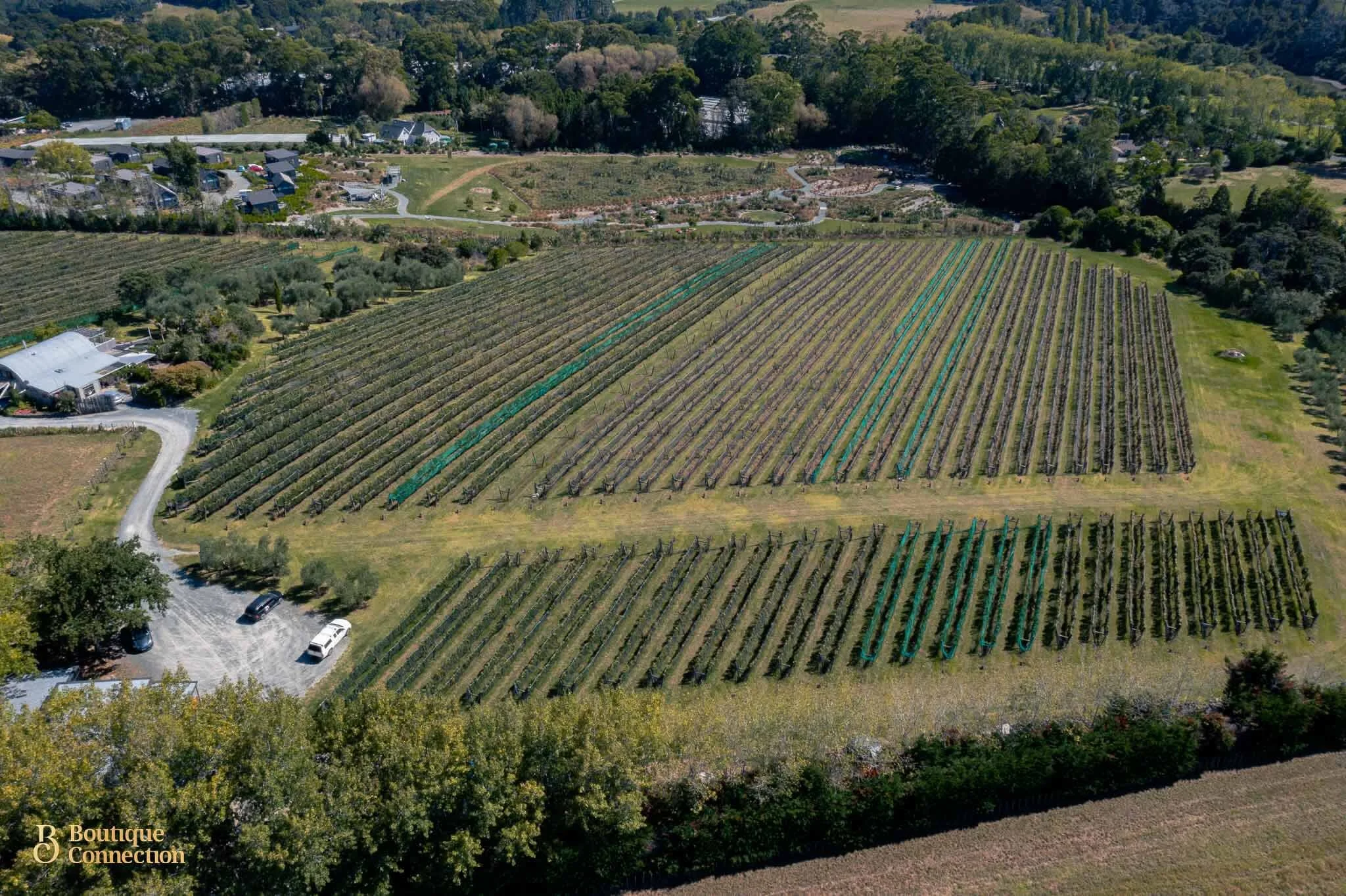 DJI_0661.jpg