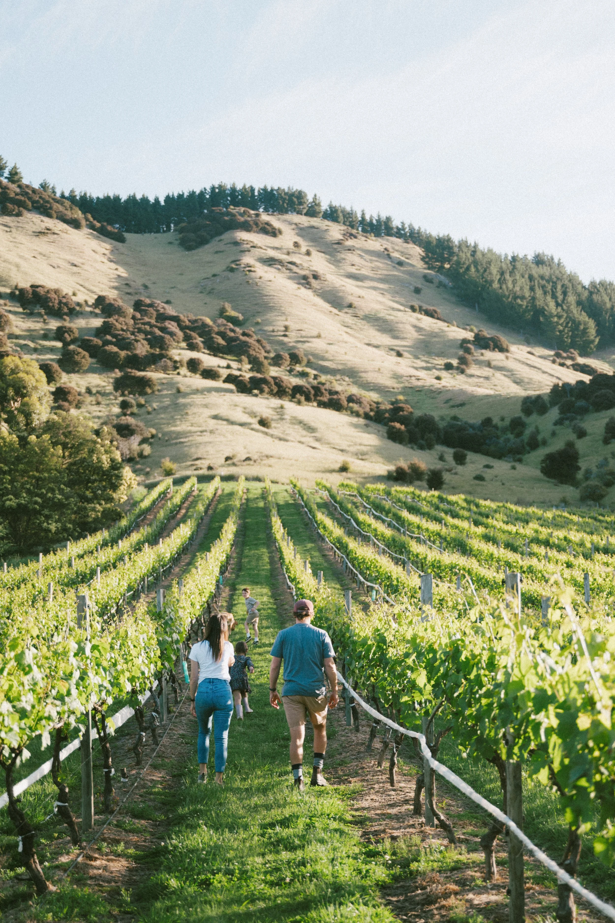 Ripple Effect Wines walk the vineyard