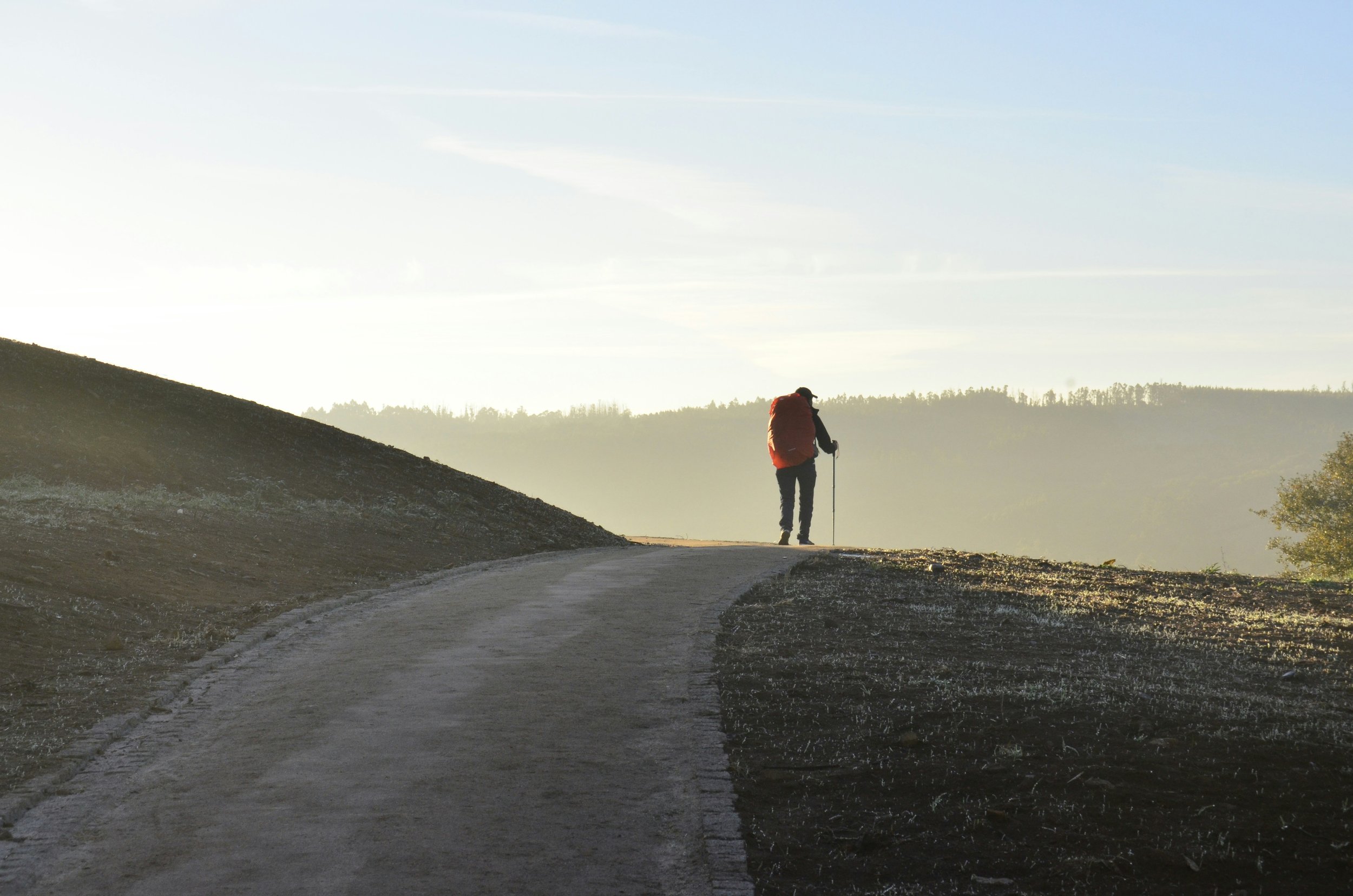 Zeven wandelstokken